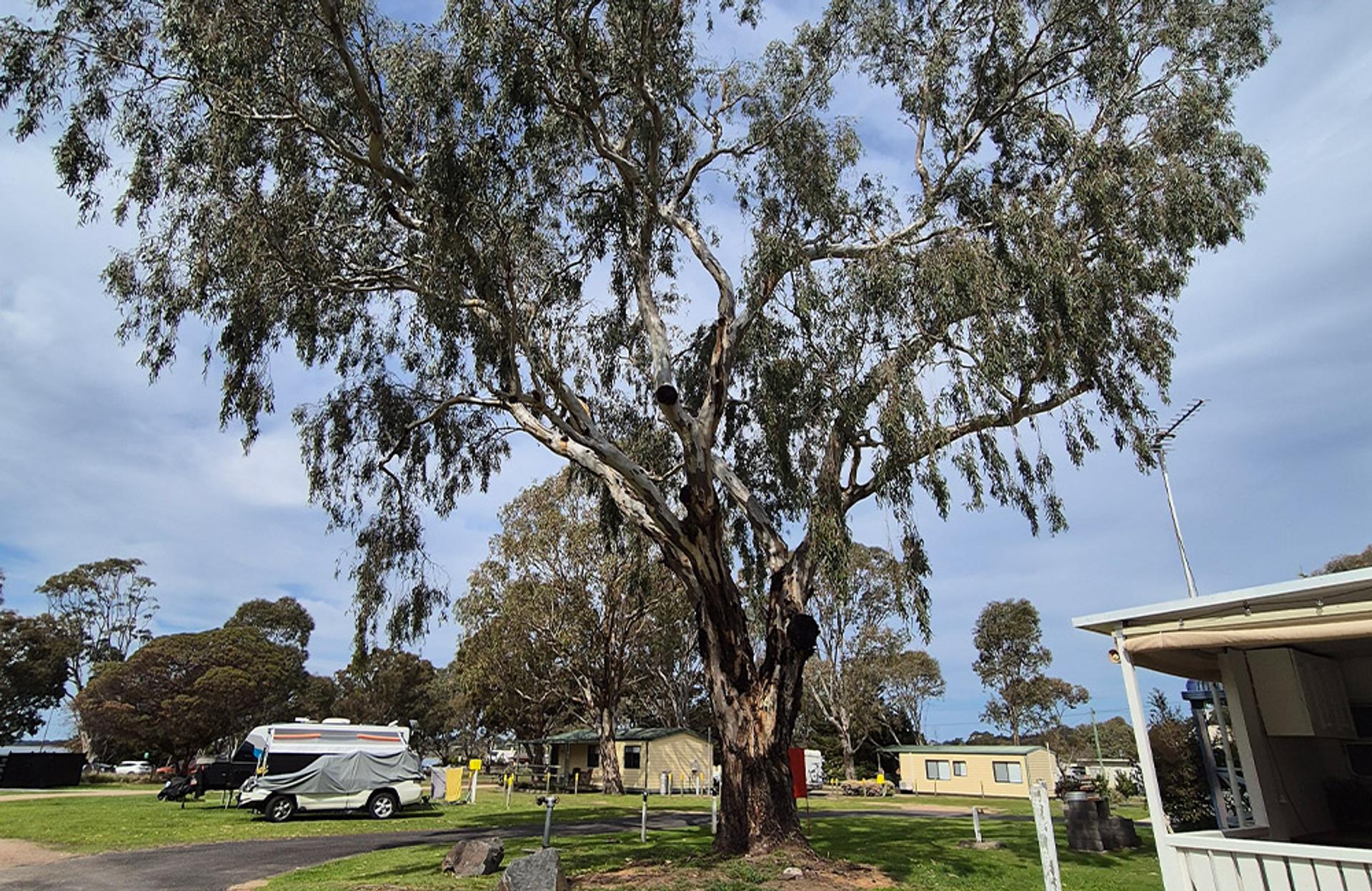 Eagle Point Caravan Park - 2