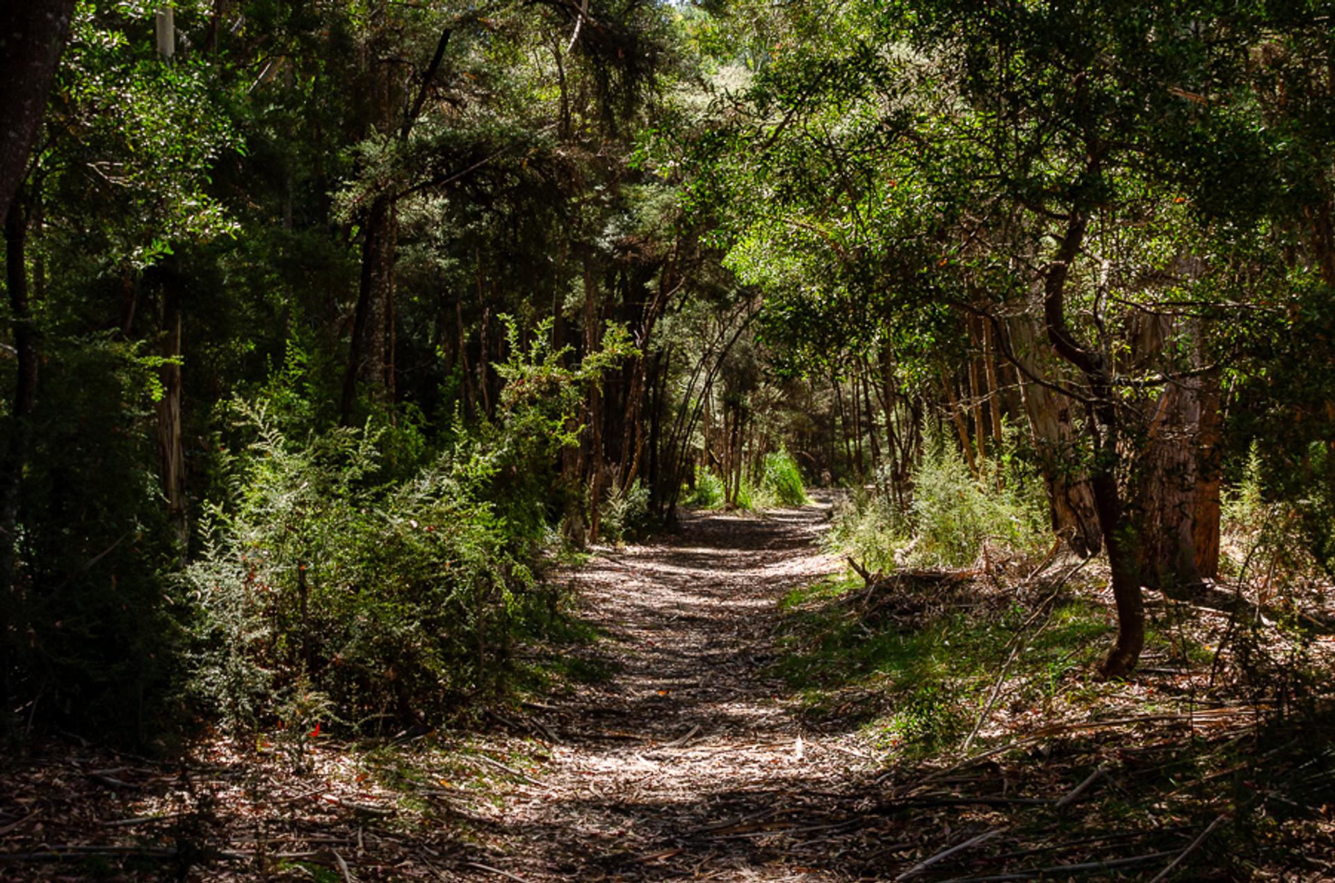 Wayatinah Lakeside Caravan Park - Image 6