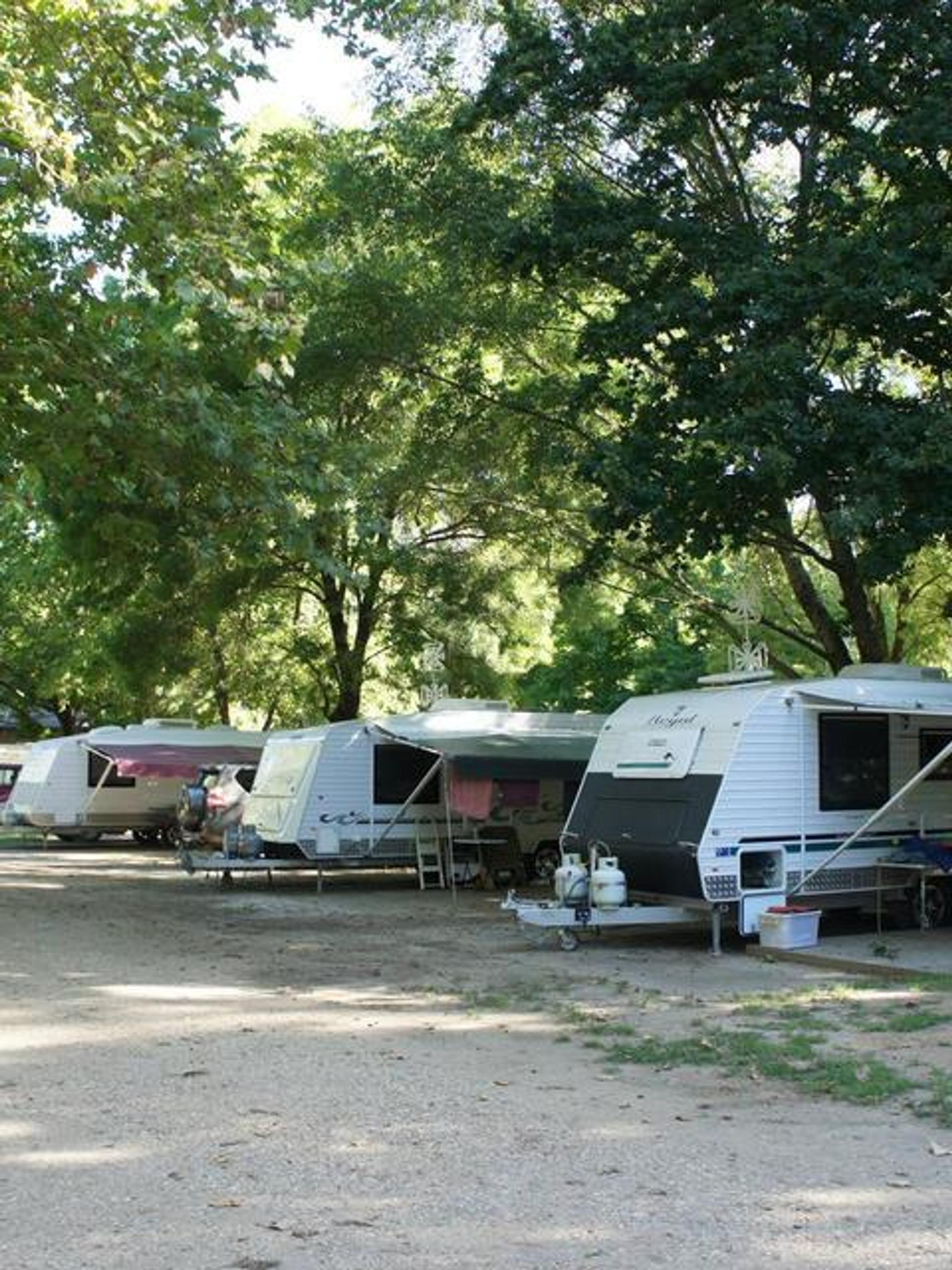 Ardern's Caravan Park - 2