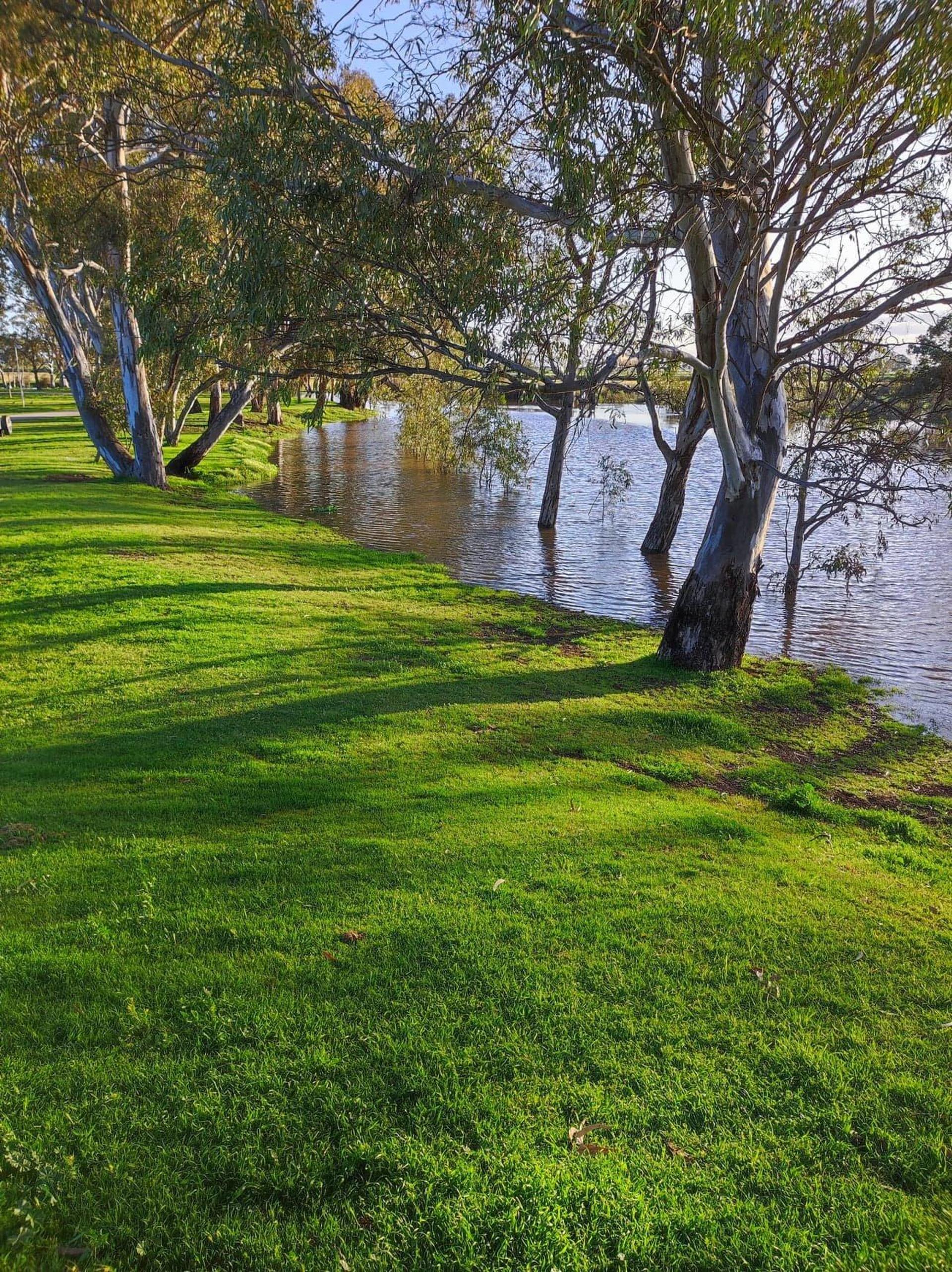 BIG4 Kerang Riverfront Holiday Park