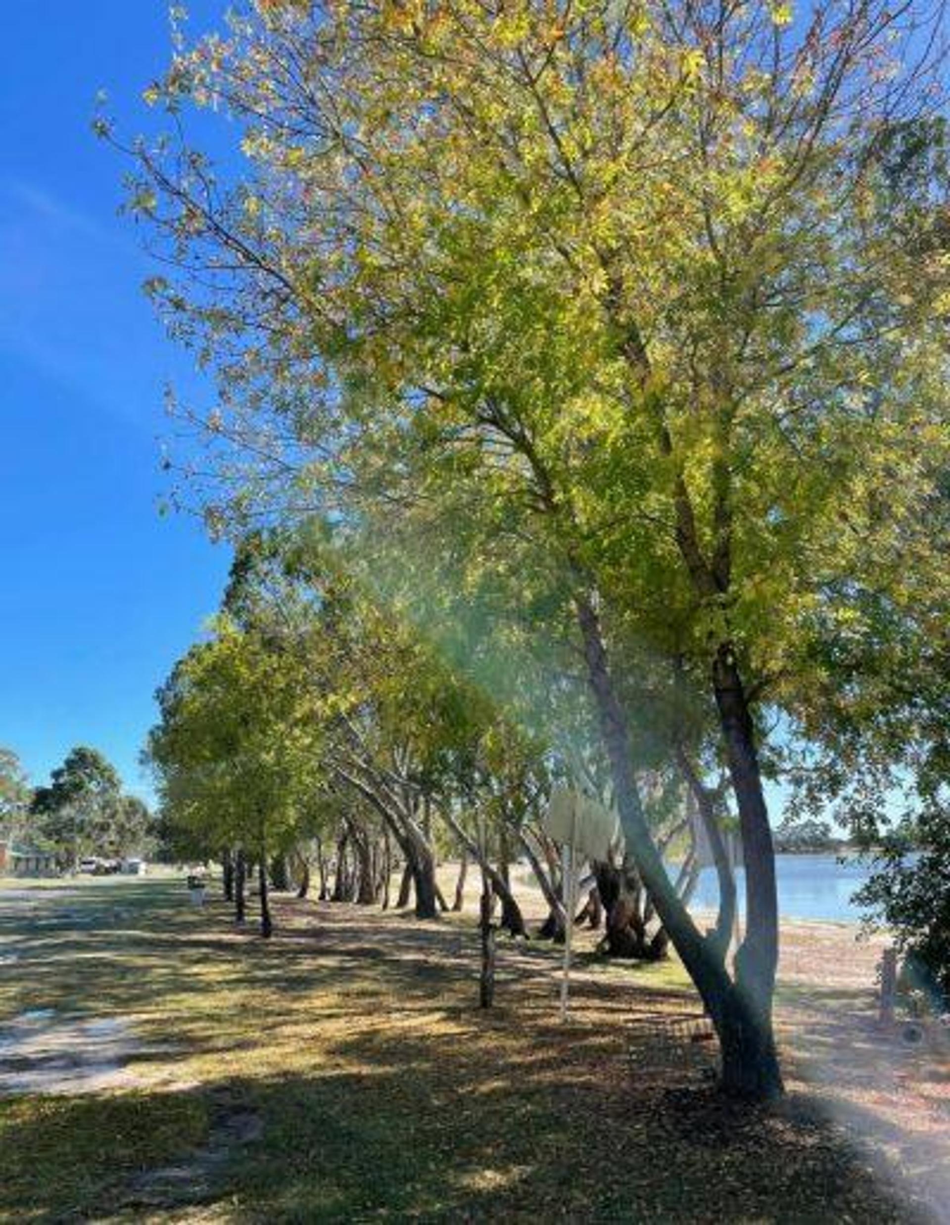 Lake Charlegrark Caravan Park & Cottages - 3
