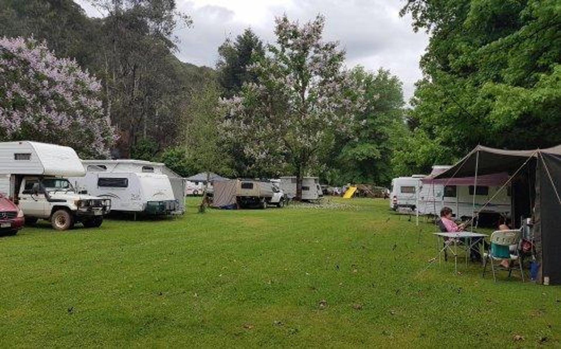 Harrietville Cabin & Caravan Park - 1