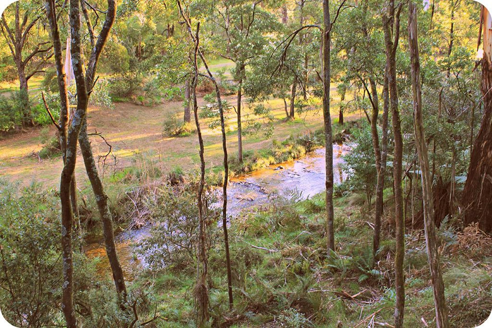 Blackwood Mineral Springs Caravan Park - 2