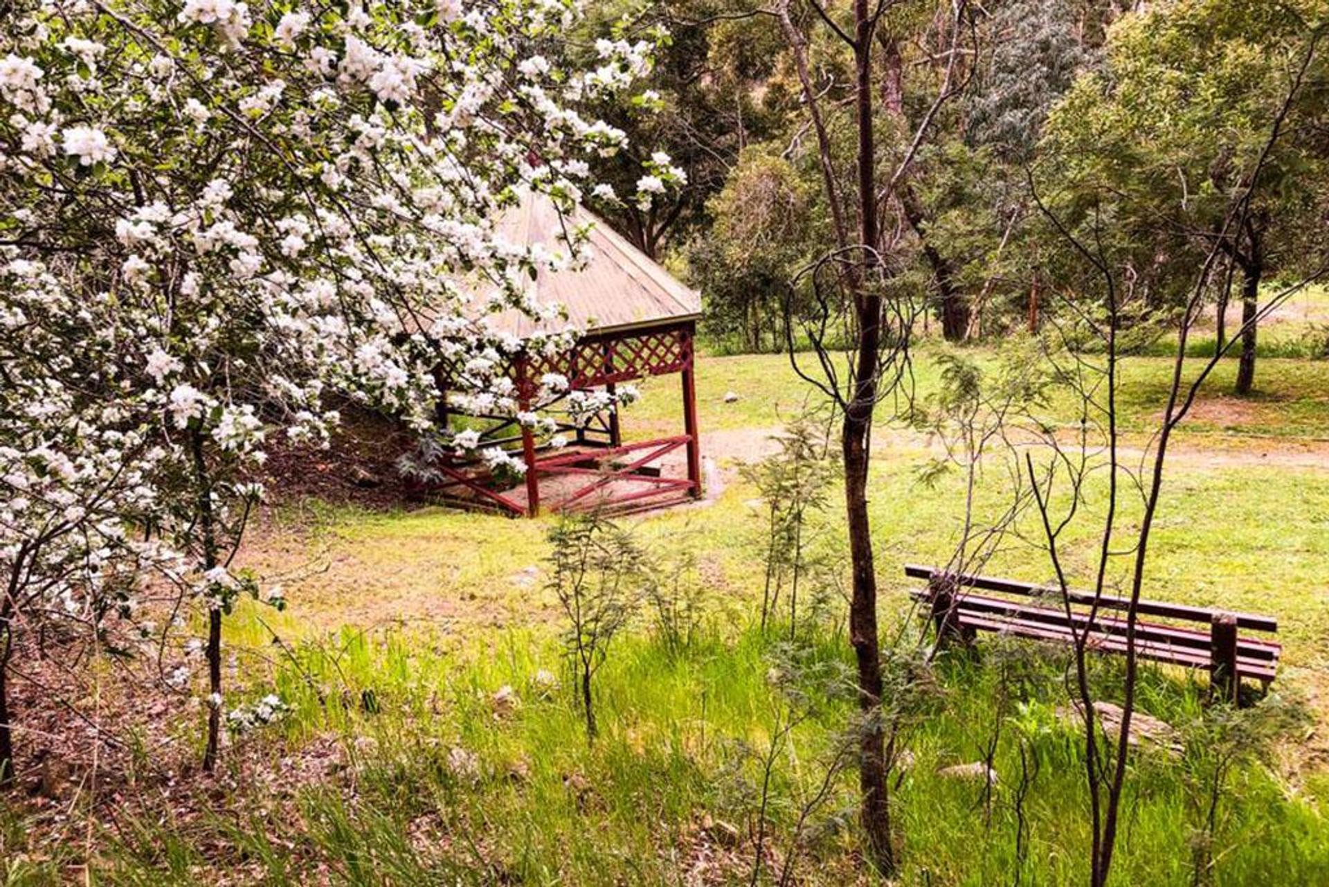Blackwood Mineral Springs Caravan Park - 1
