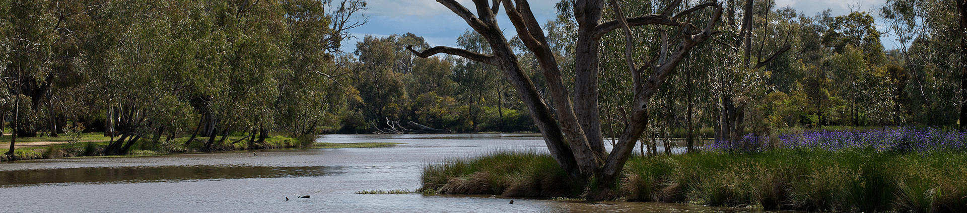 Numurkah Caravan Park - 2