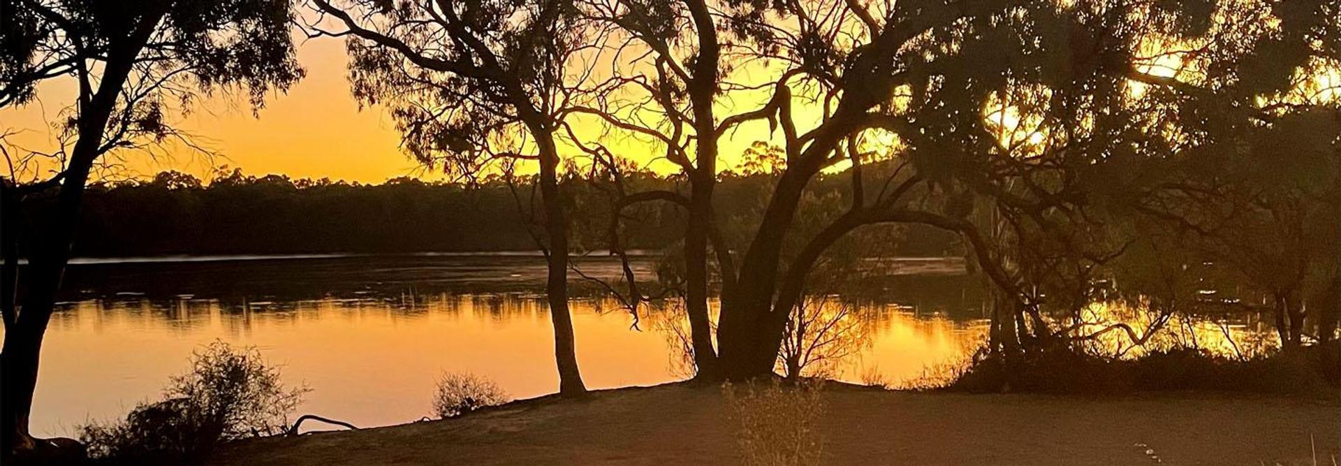 Robinvale Riverside Caravan Park - 3