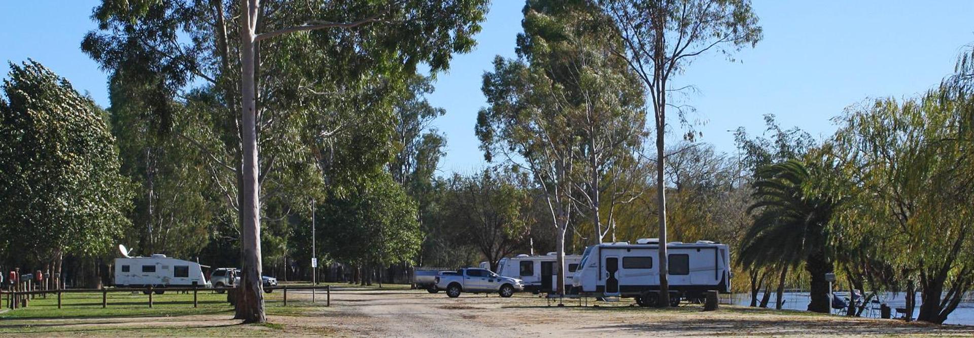 Robinvale Riverside Caravan Park - 1