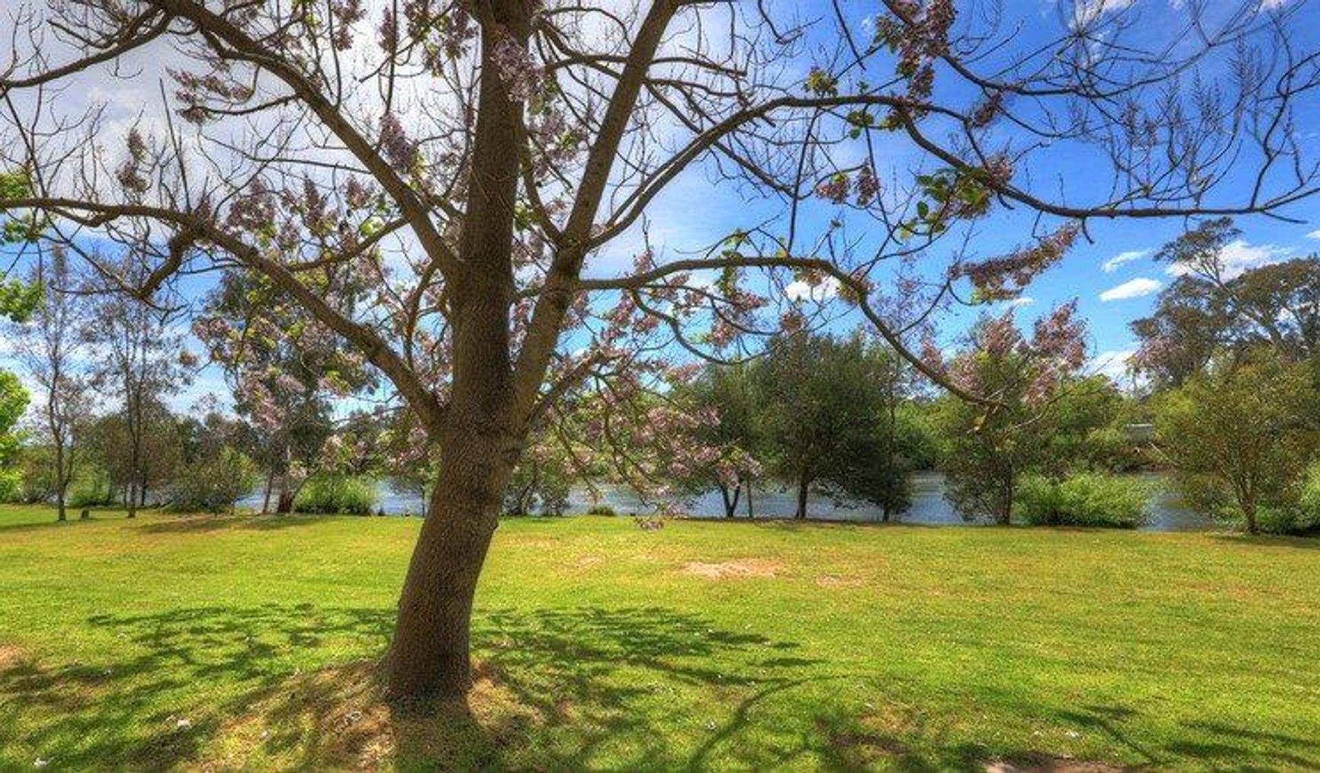 Breakaway Twin Rivers Caravan Park - 3