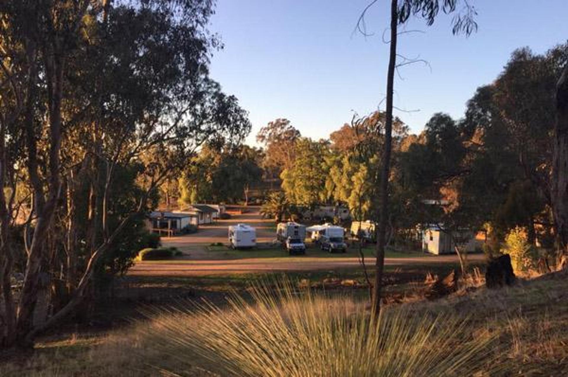 Glenrowan Caravan and Tourist Park - 2