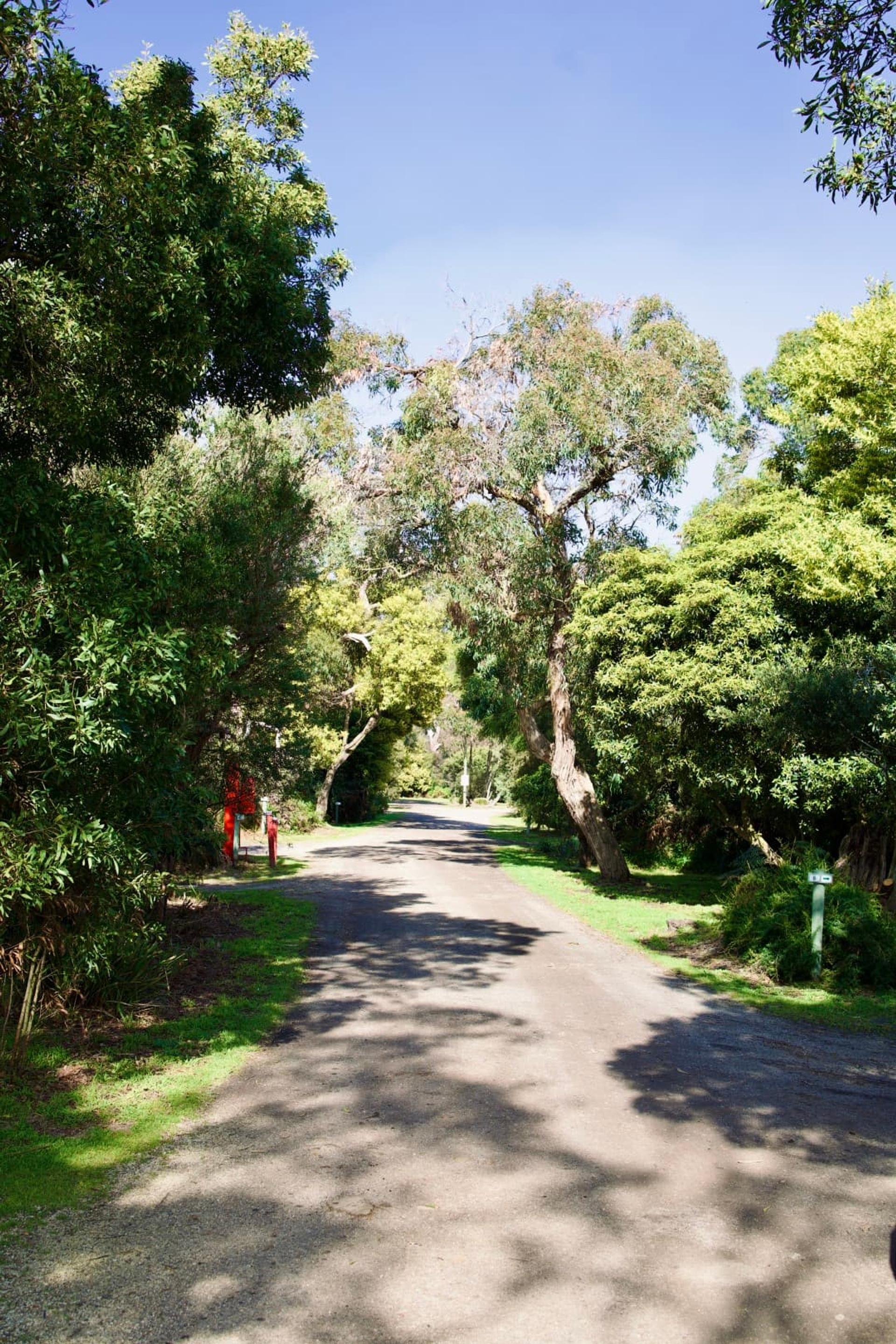 Wilsons Prom Holiday Park - Image 6