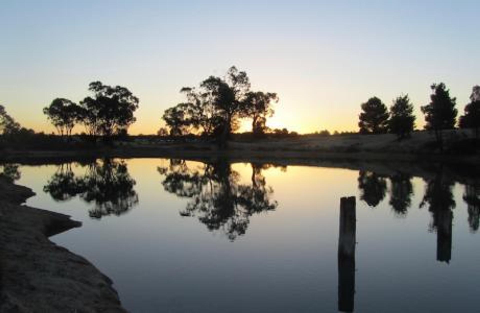 Tingha Gems Caravan Park - 3