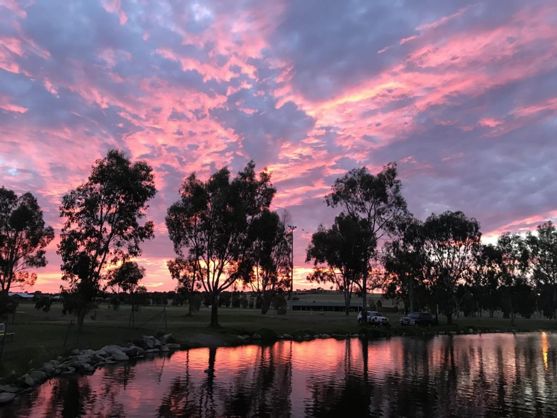 Junee Tourist Park - 5