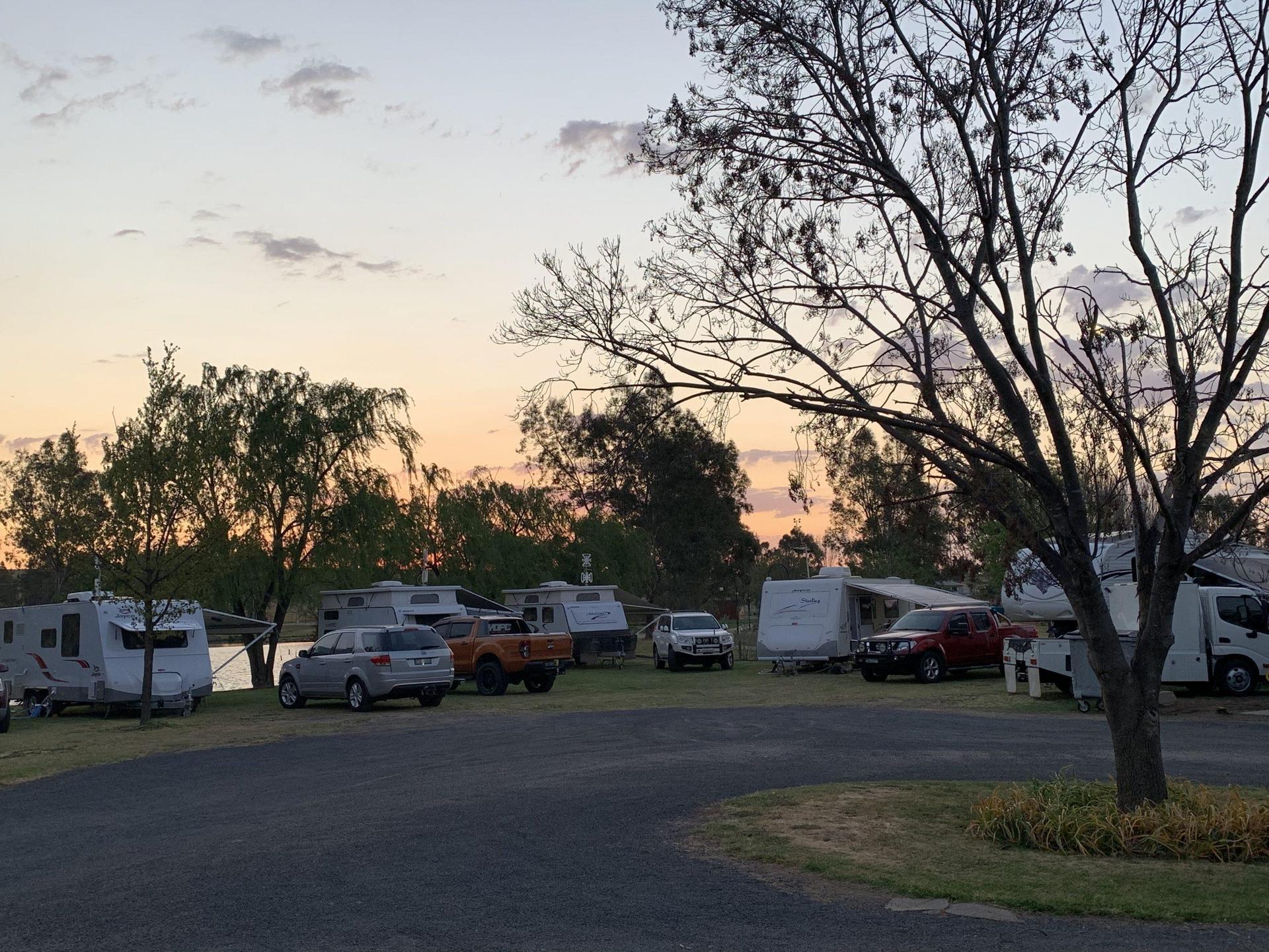 Junee Tourist Park - 4