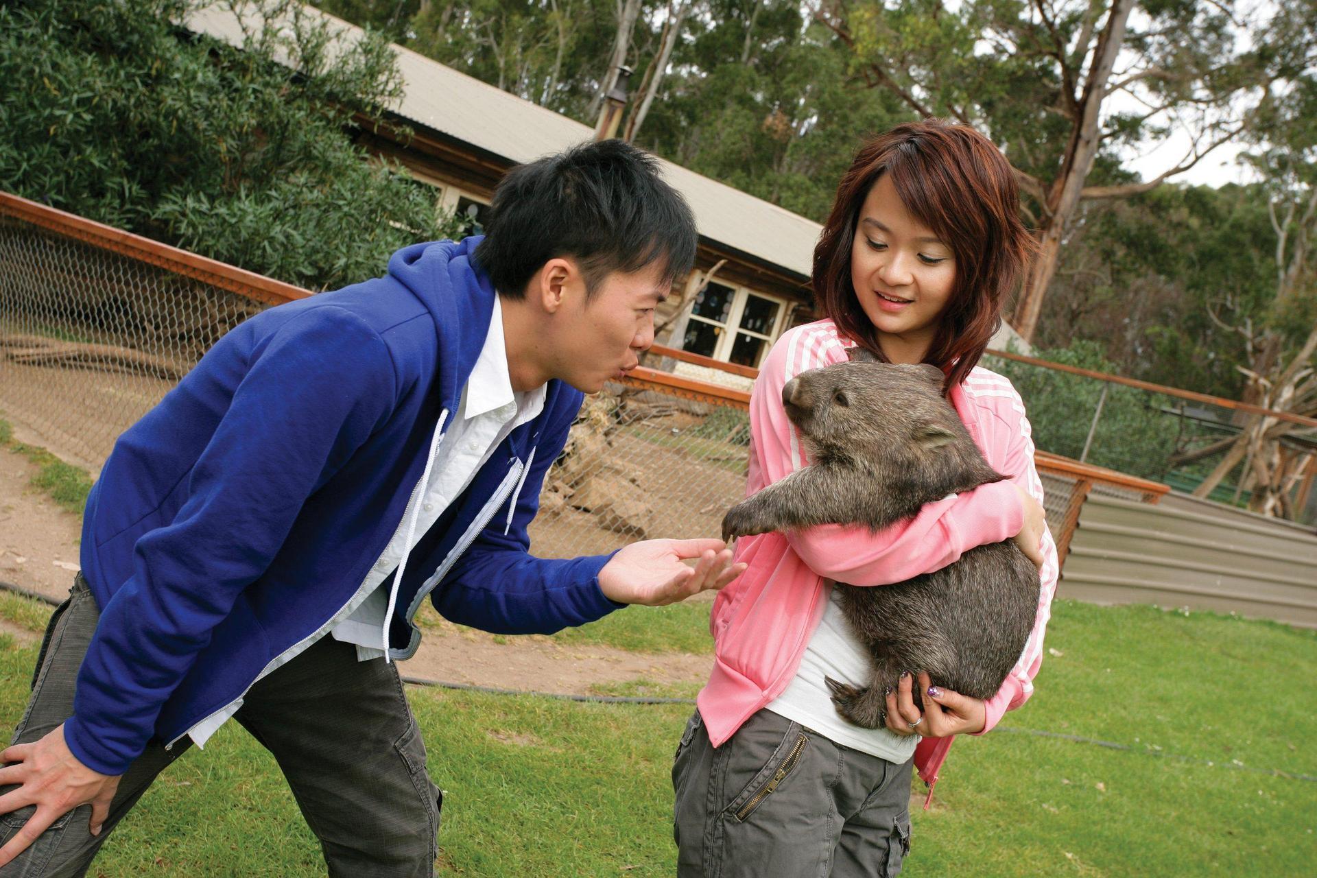 Beauty Point Tourist Park - 1