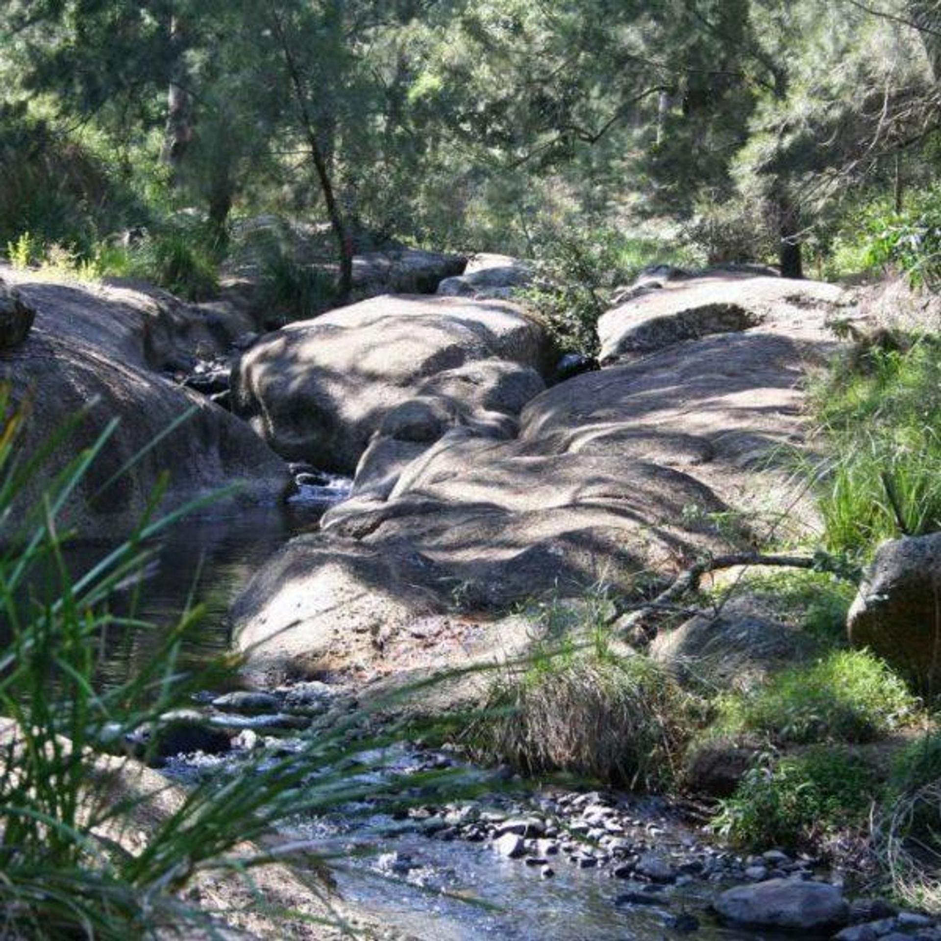 Highway Caravan Park Scone - 2
