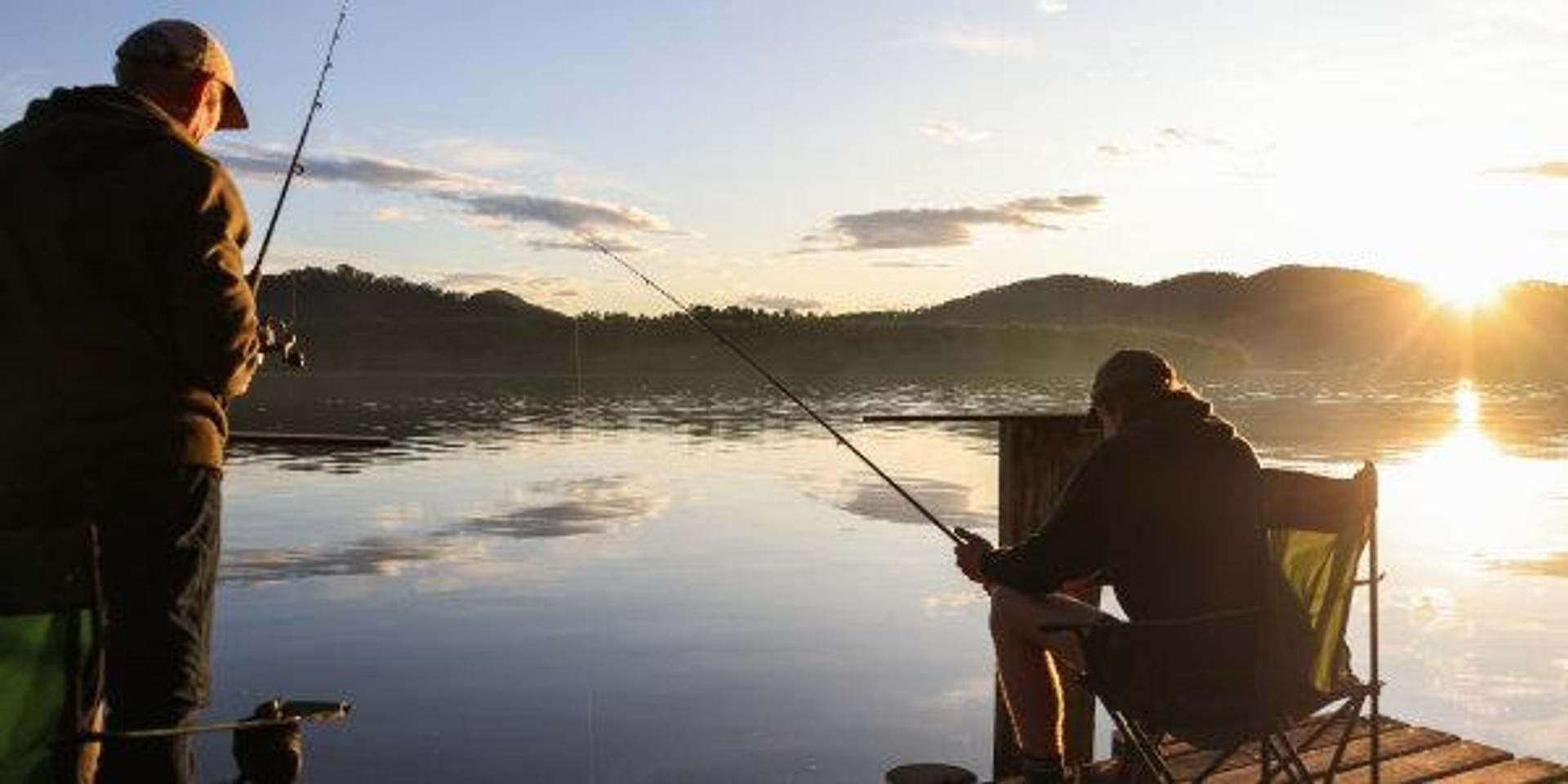 Greenmans On The Hawkesbury - Caravan Park - 1
