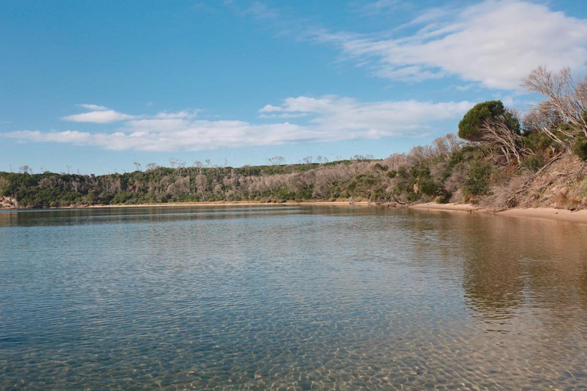 Wonboyn Cabins & Caravan Park - 2