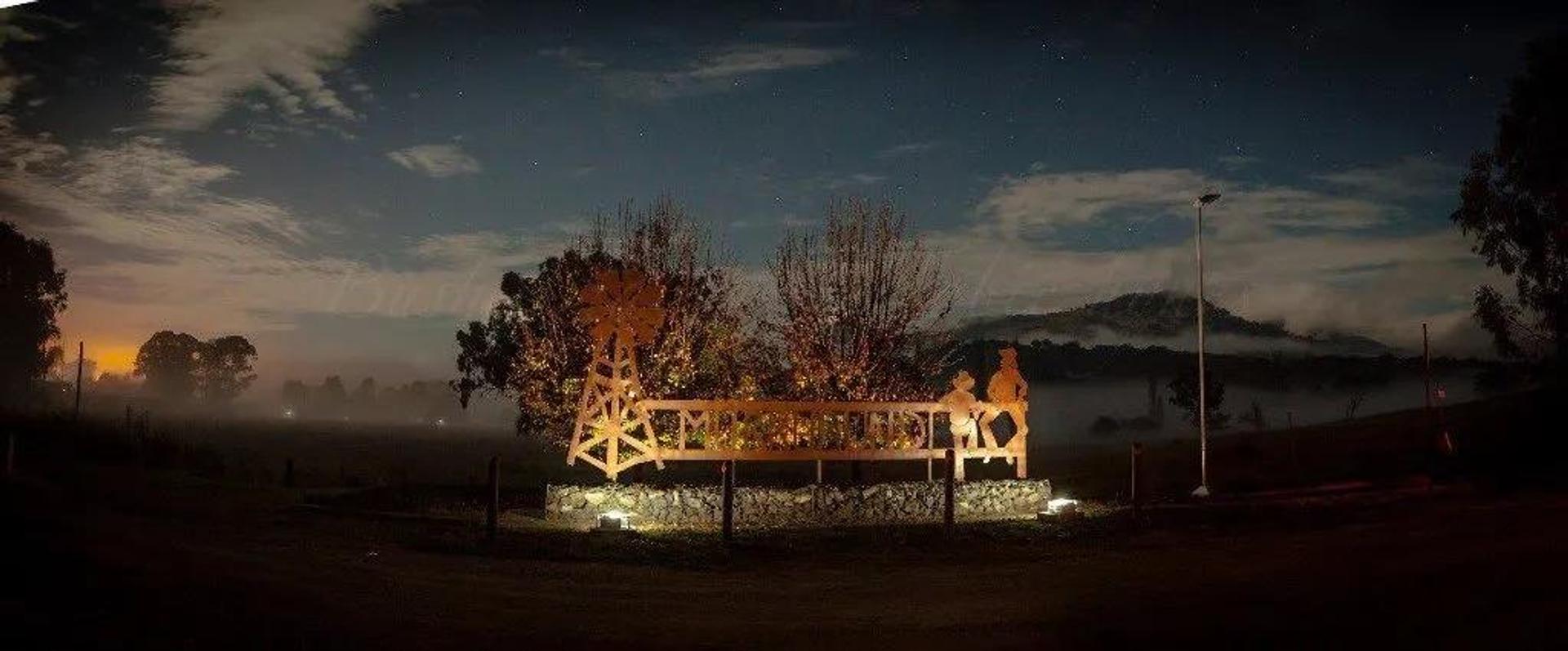 Murrurundi Caravan Park - 2