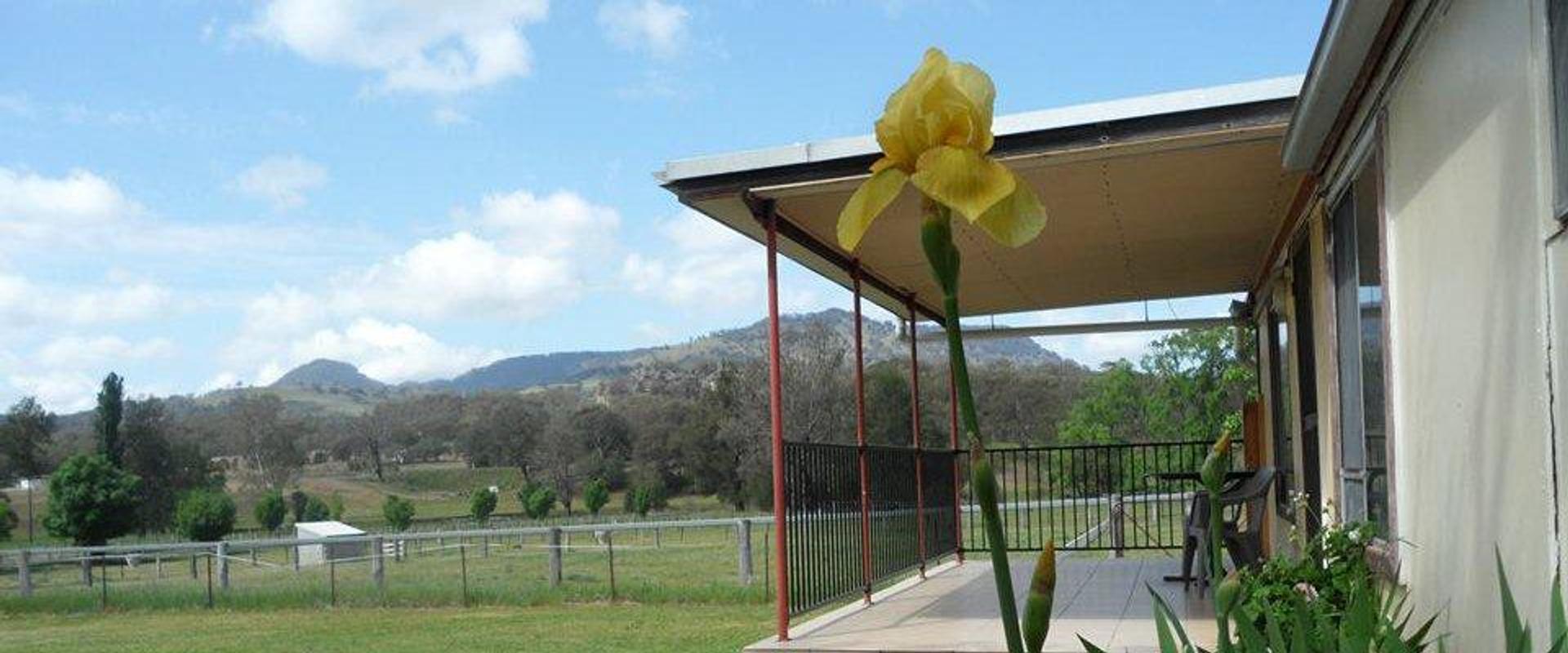 Murrurundi Caravan Park - 3