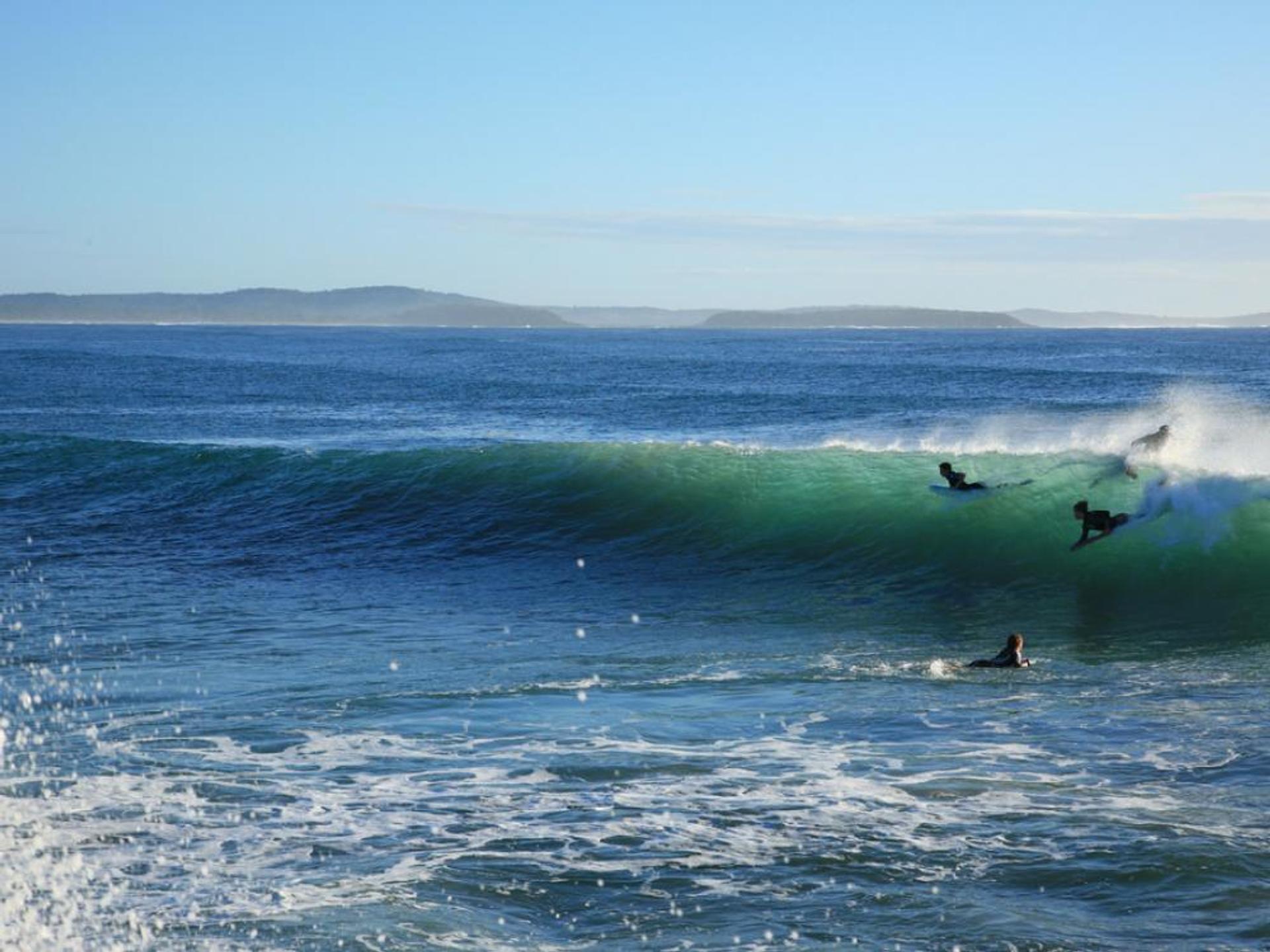 BIG4 Moruya Heads Easts Dolphin Beach Holiday Park - 3