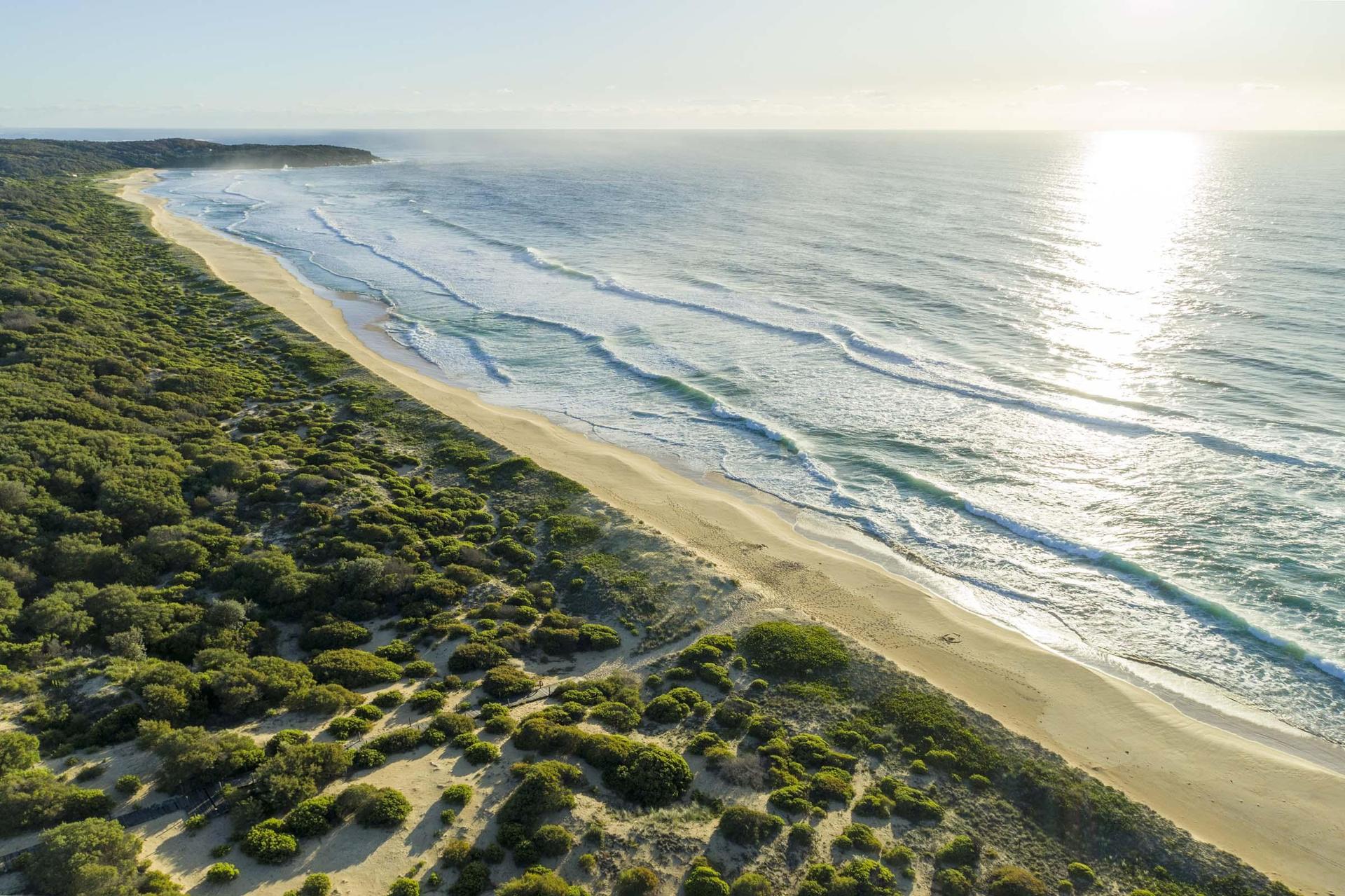 Wairo Beach Holiday Park - 2