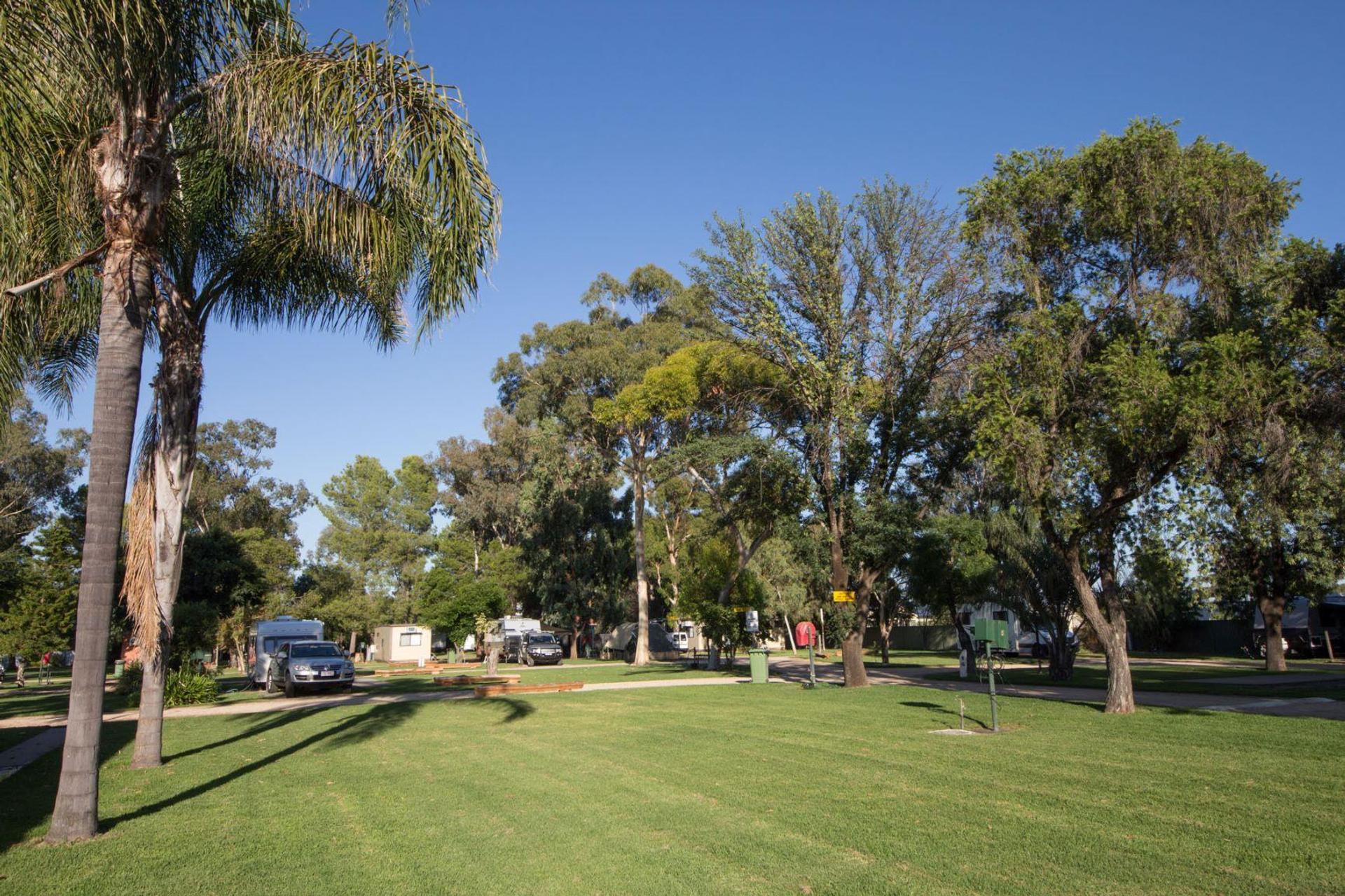 BIG4 Forbes Holiday Park - 4