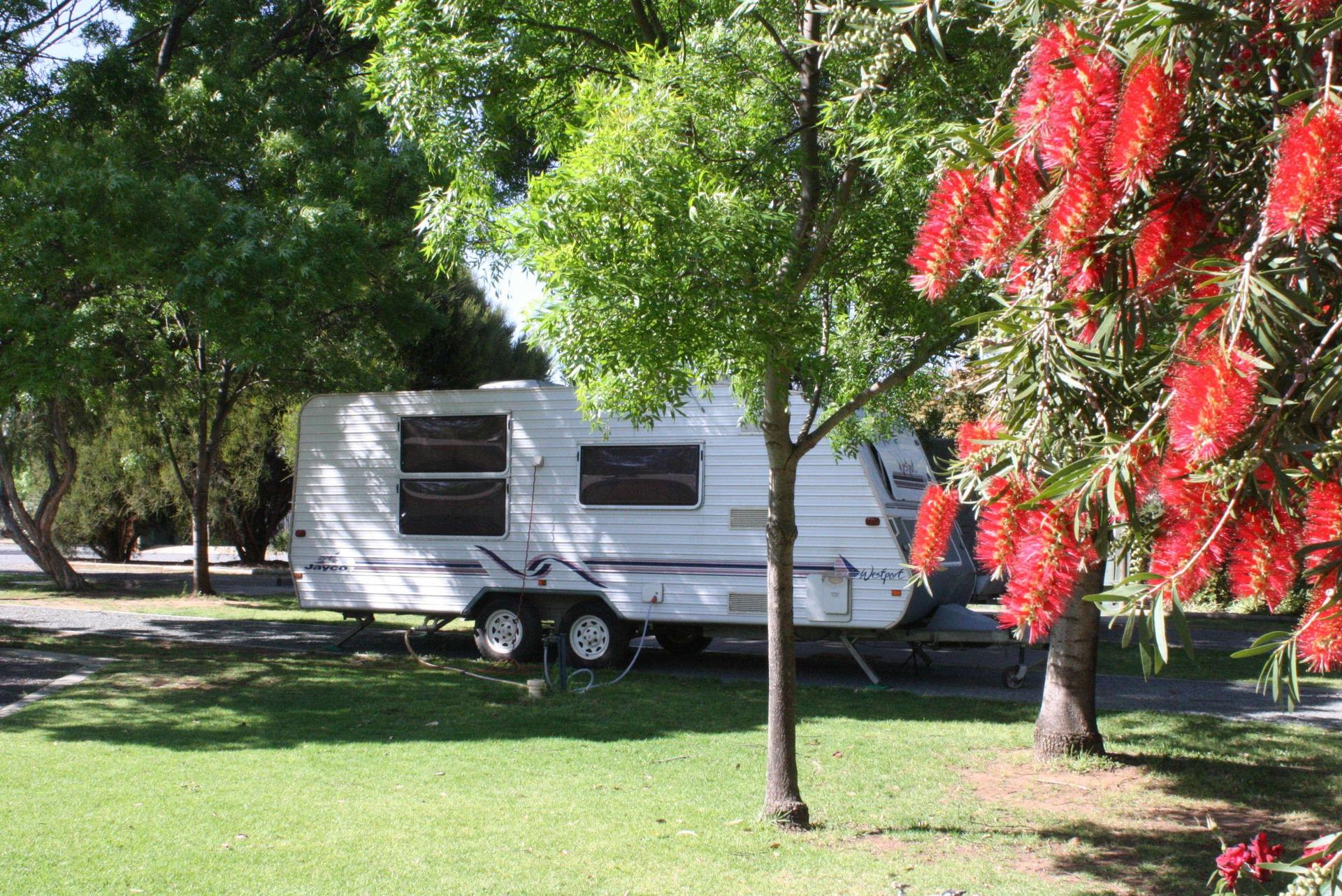 BIG4 Hay Plains Holiday Park - 2