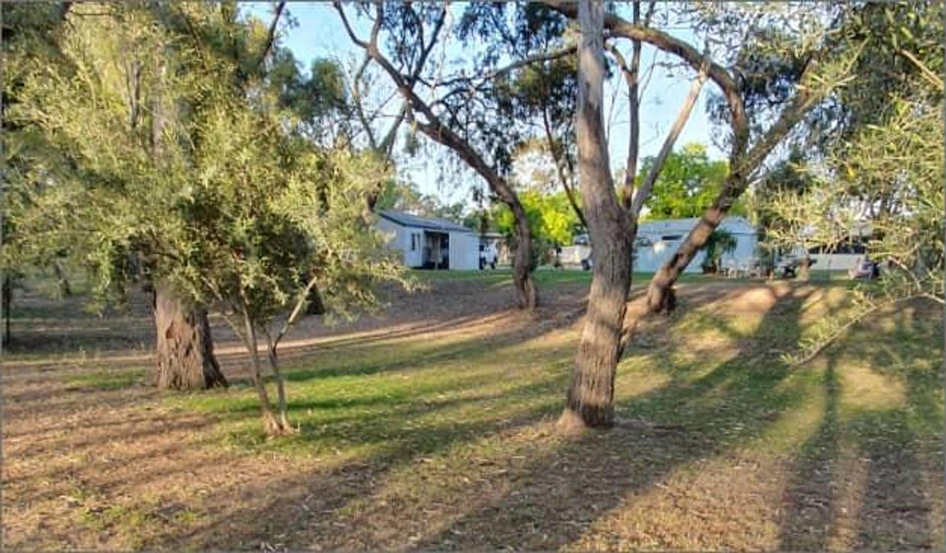 Deniliquin Pioneer Tourist Park - 4