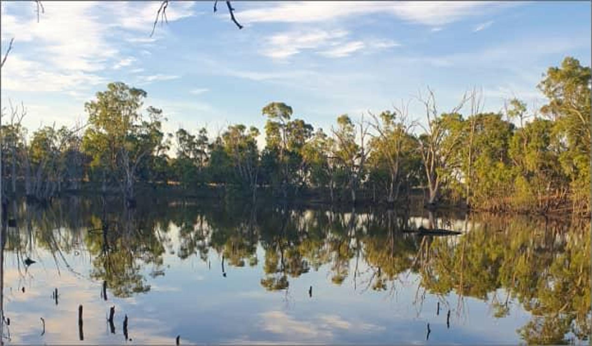 Deniliquin Pioneer Tourist Park - 3