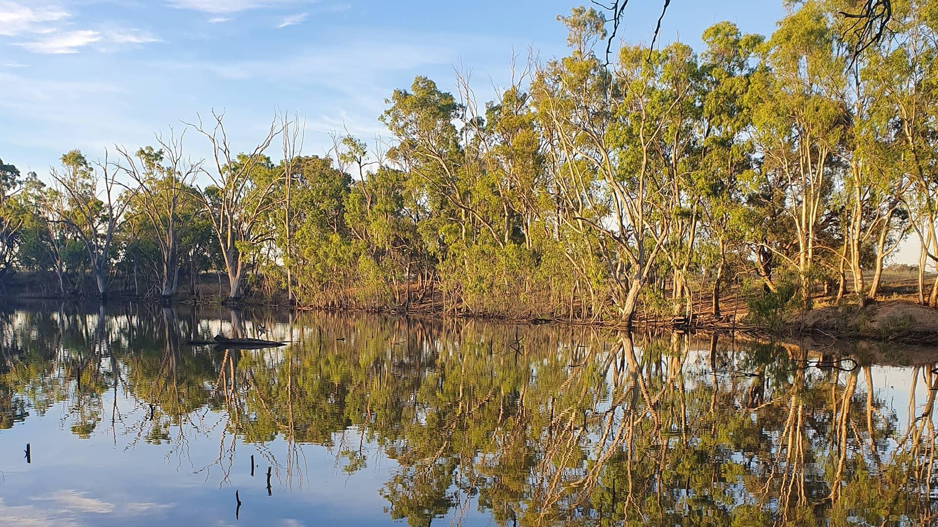 Deniliquin Pioneer Tourist Park - 2