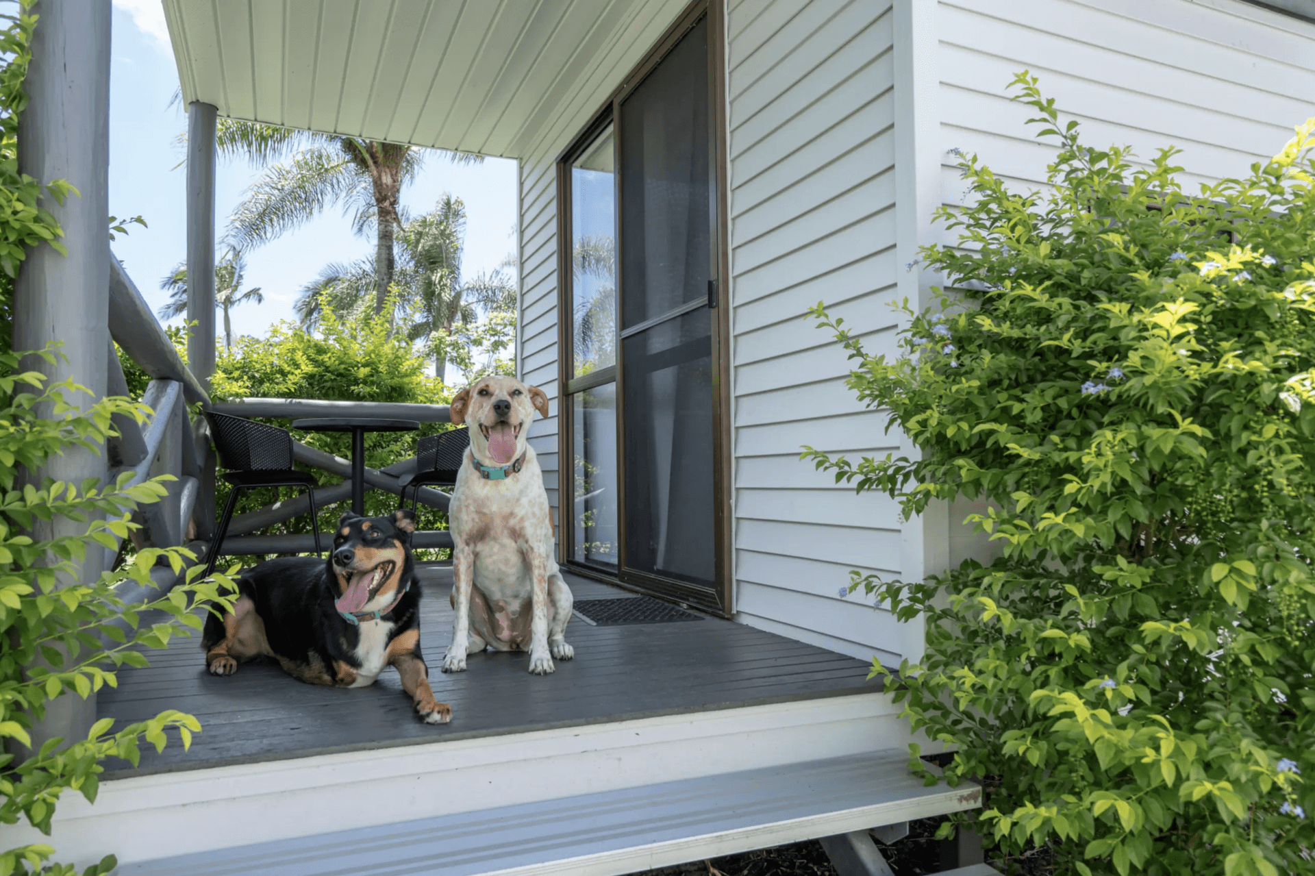 Tasman Holiday Parks - Hervey Bay - 2