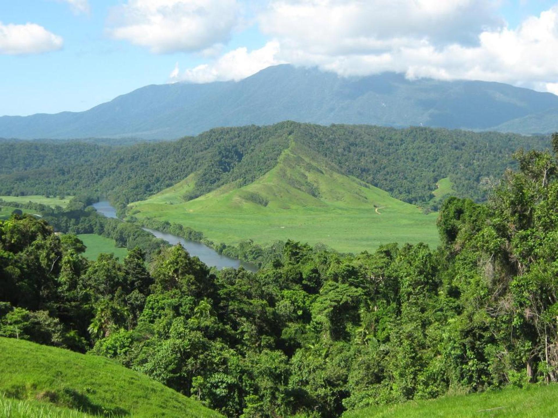 Daintree Riverview Lodges & Van Park - Image 2