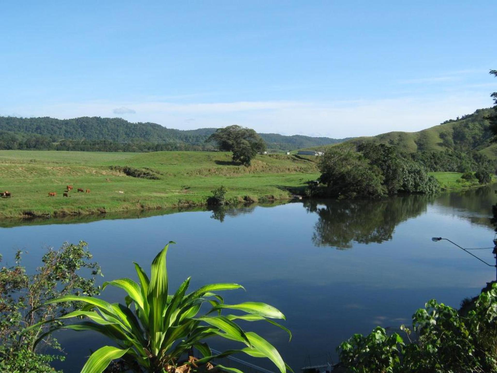 Daintree Riverview Lodges & Van Park - Image 1