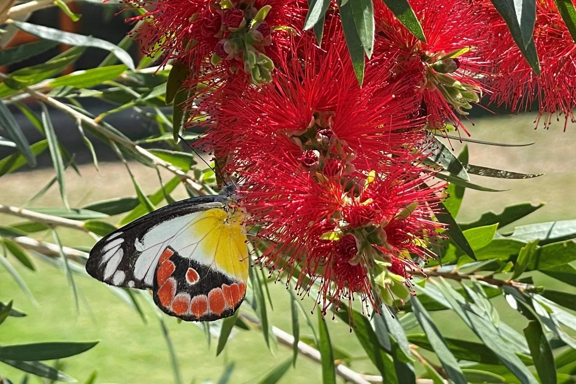 Townsville Eco Resort - 1