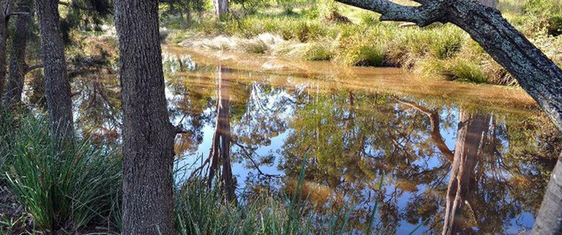 Glendon Camping Grounds - 4