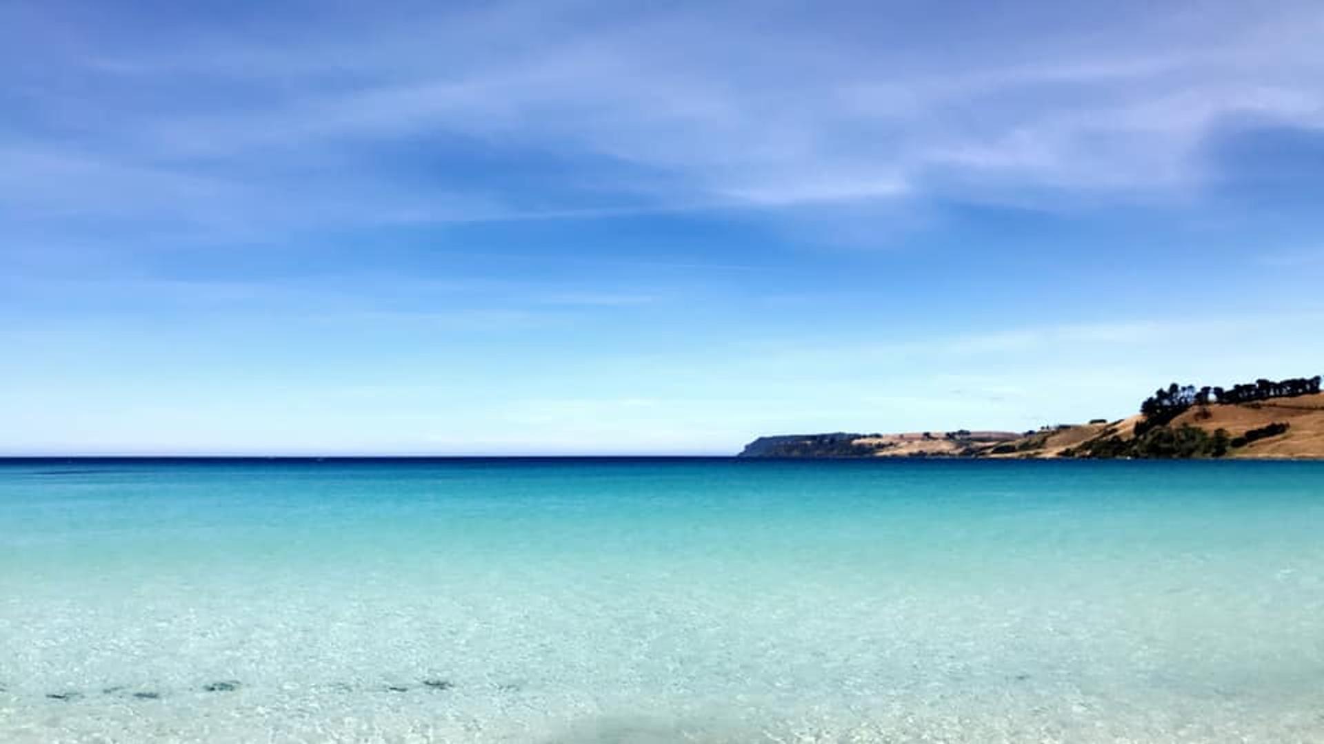 Penguin Caravan Park - 2