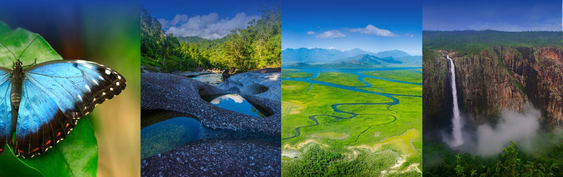 Ingham Tourist Park - 2