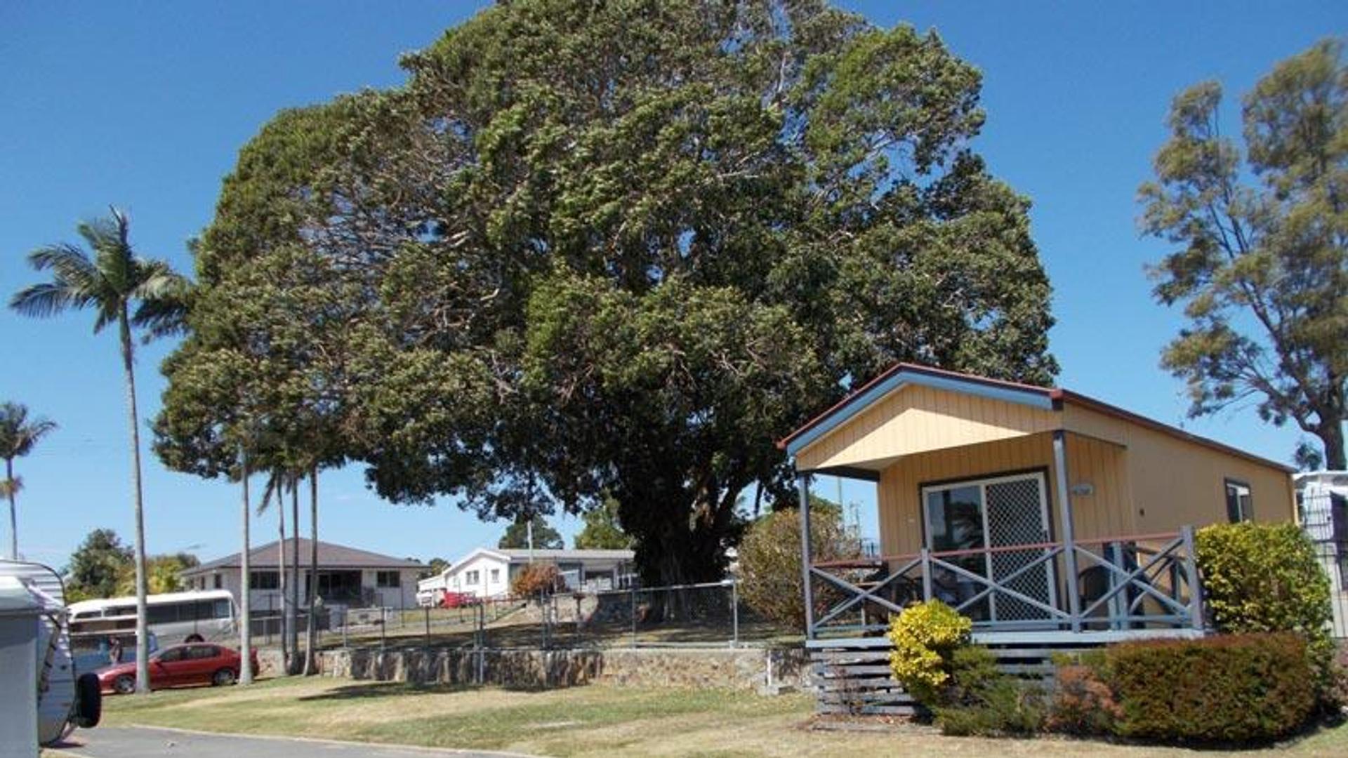 Bongaree Caravan Park - 1