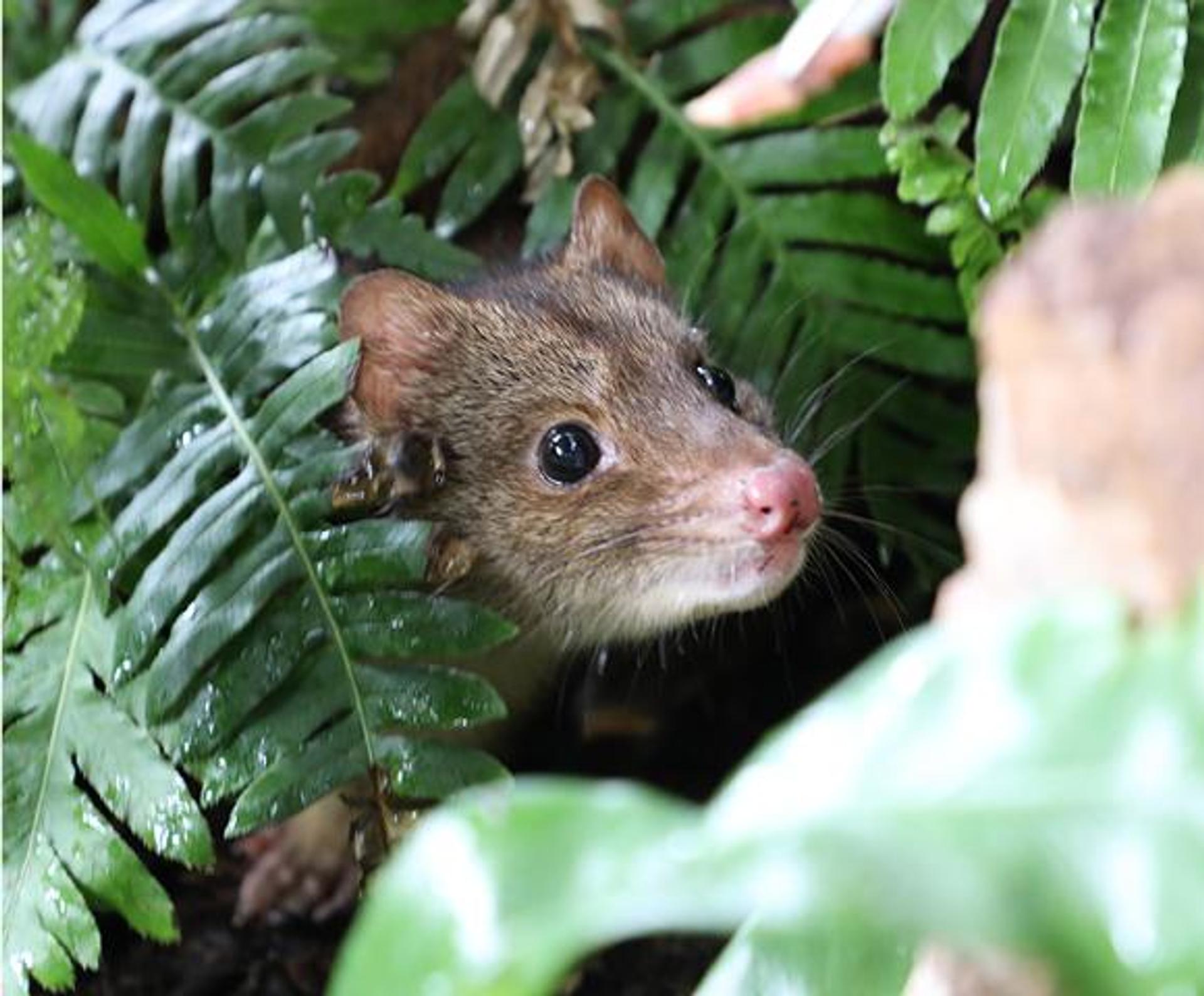 Elliott Heads Holiday Park - 5