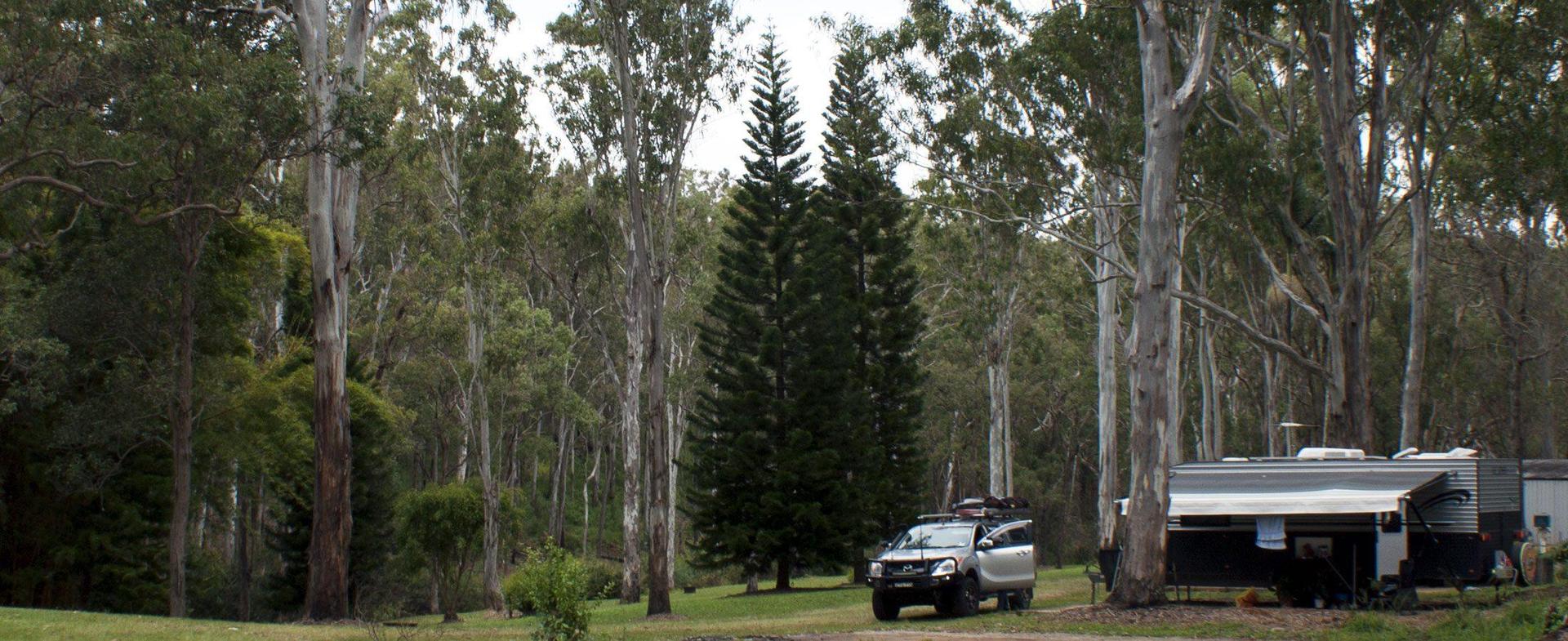 Tall Timbers Roadhouse - 2