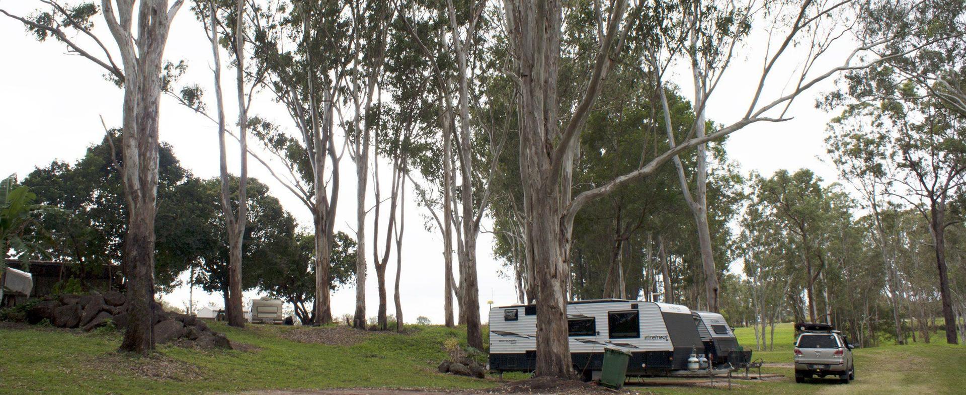 Tall Timbers Roadhouse - 1