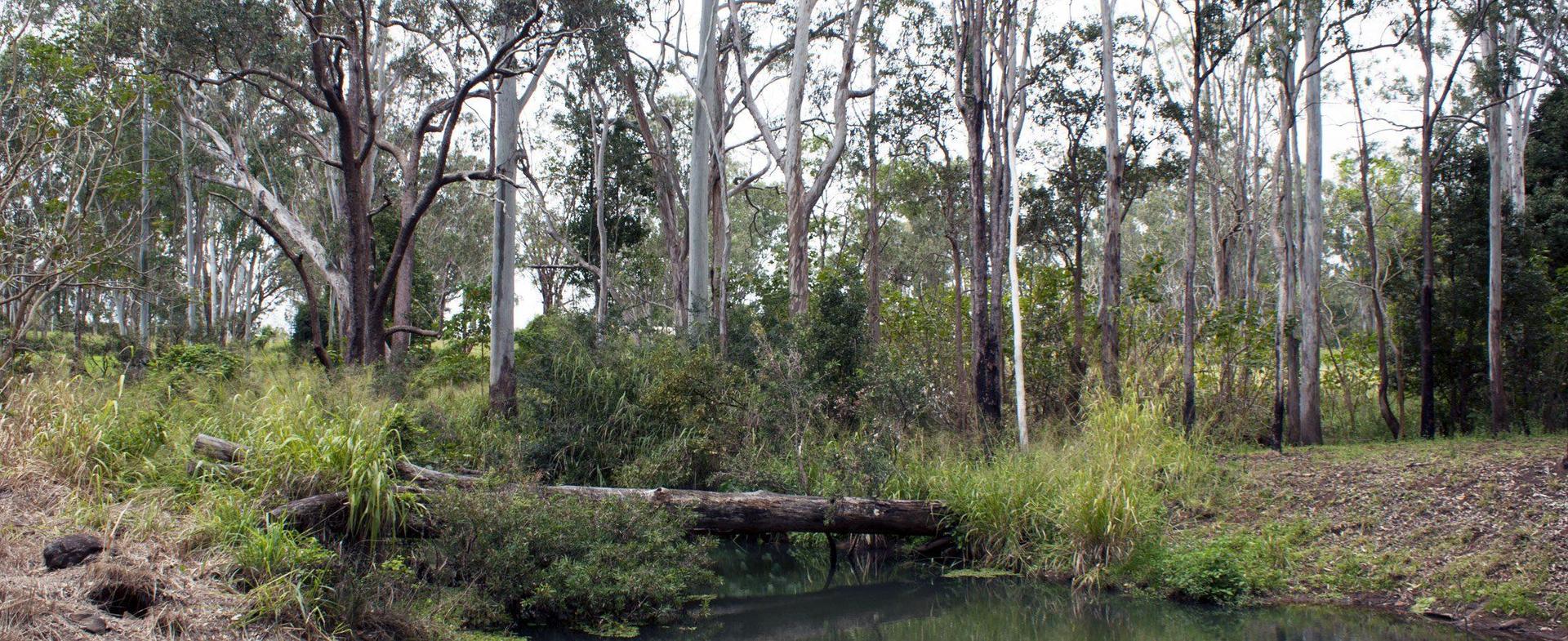 Tall Timbers Roadhouse - 3
