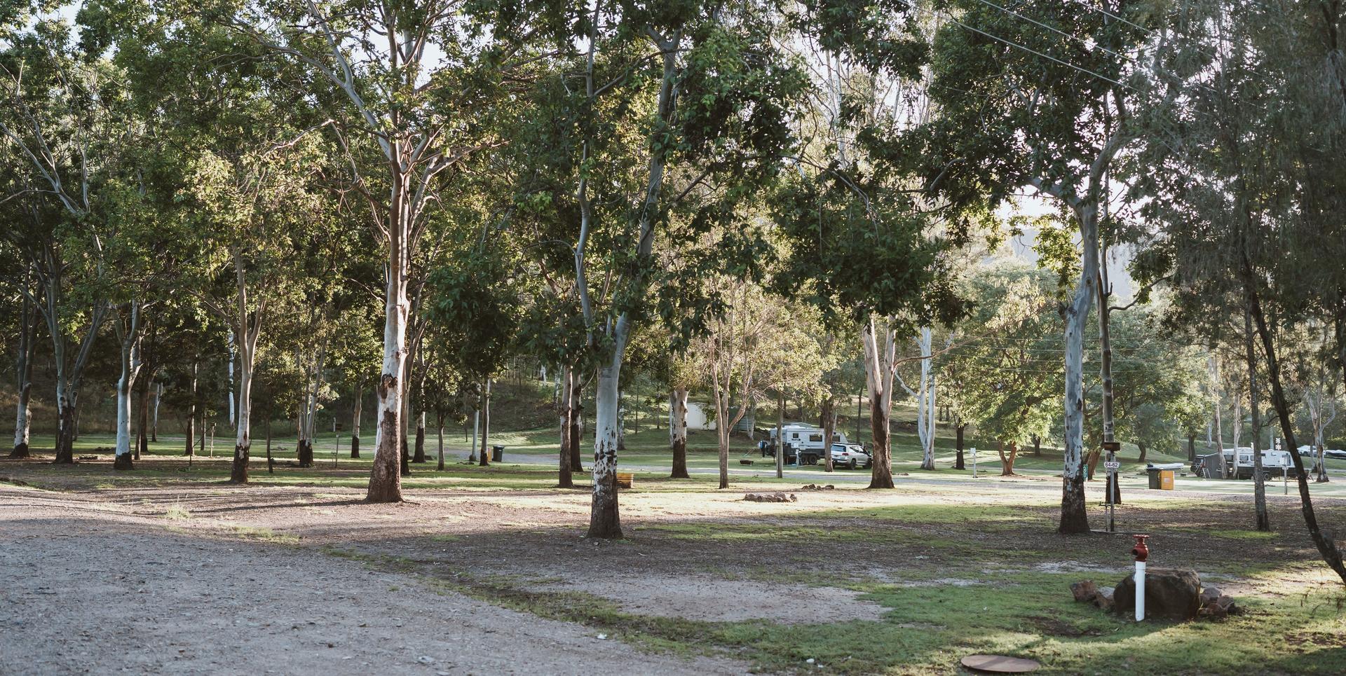 BIG4 Cania Gorge Holiday Park - 5
