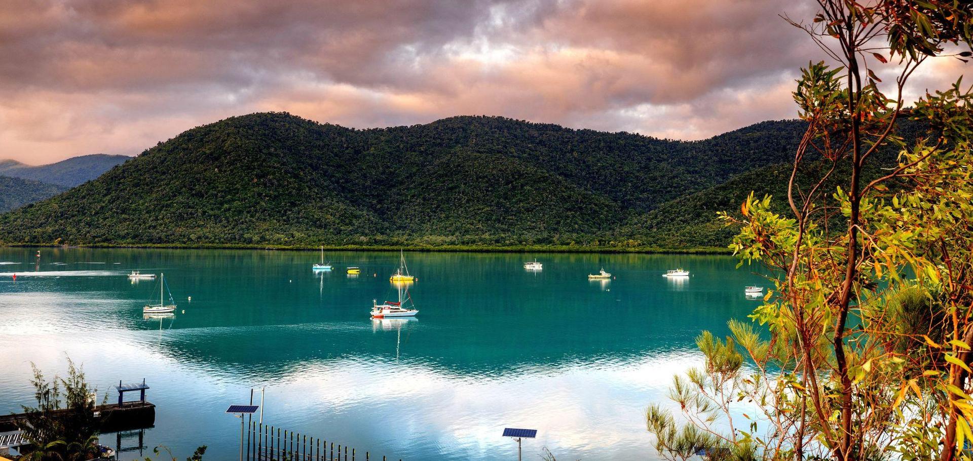 BIG4 Whitsundays Tropical Eco Resort - 4
