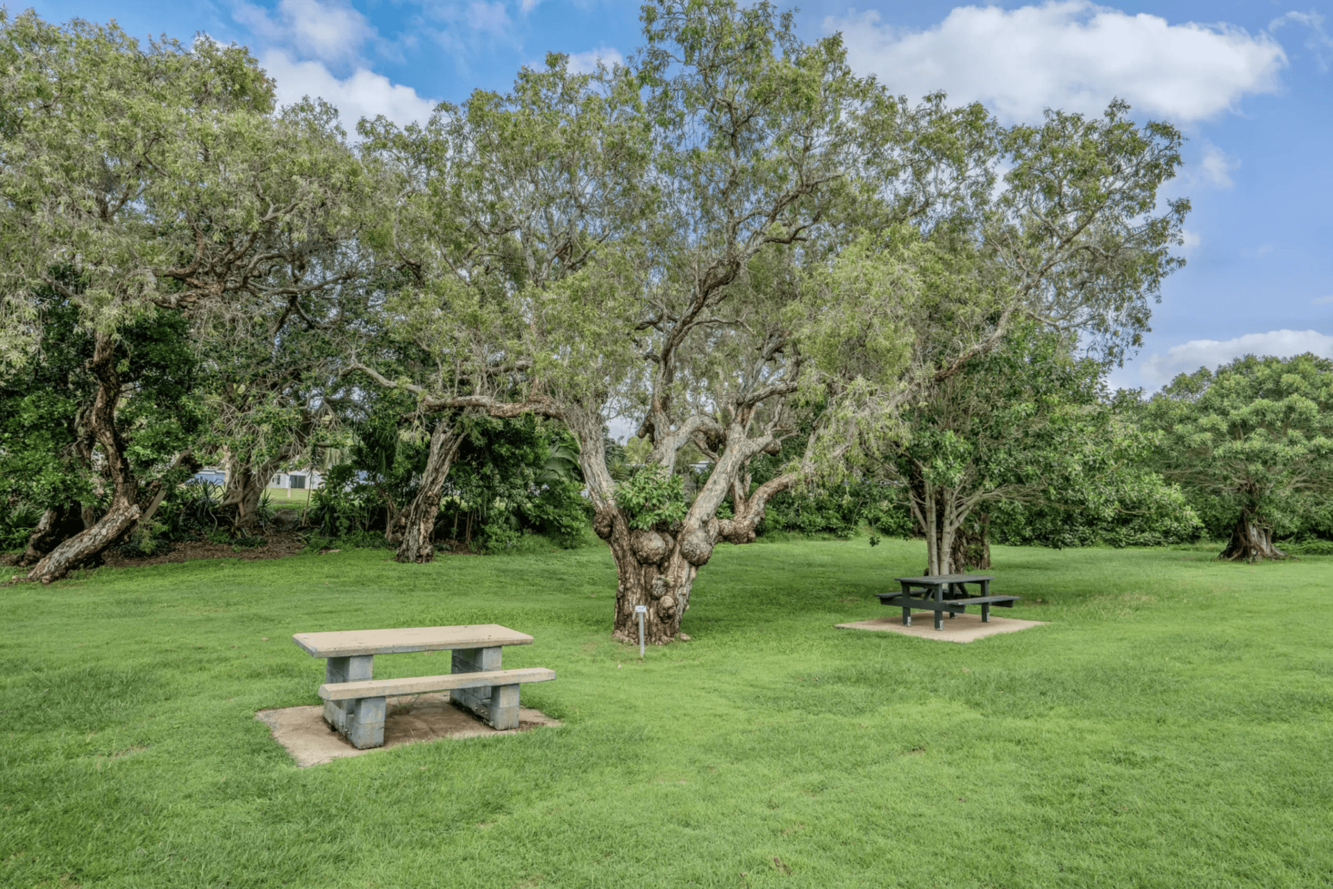 Tasman Holiday Parks - Fisherman's Beach - 3