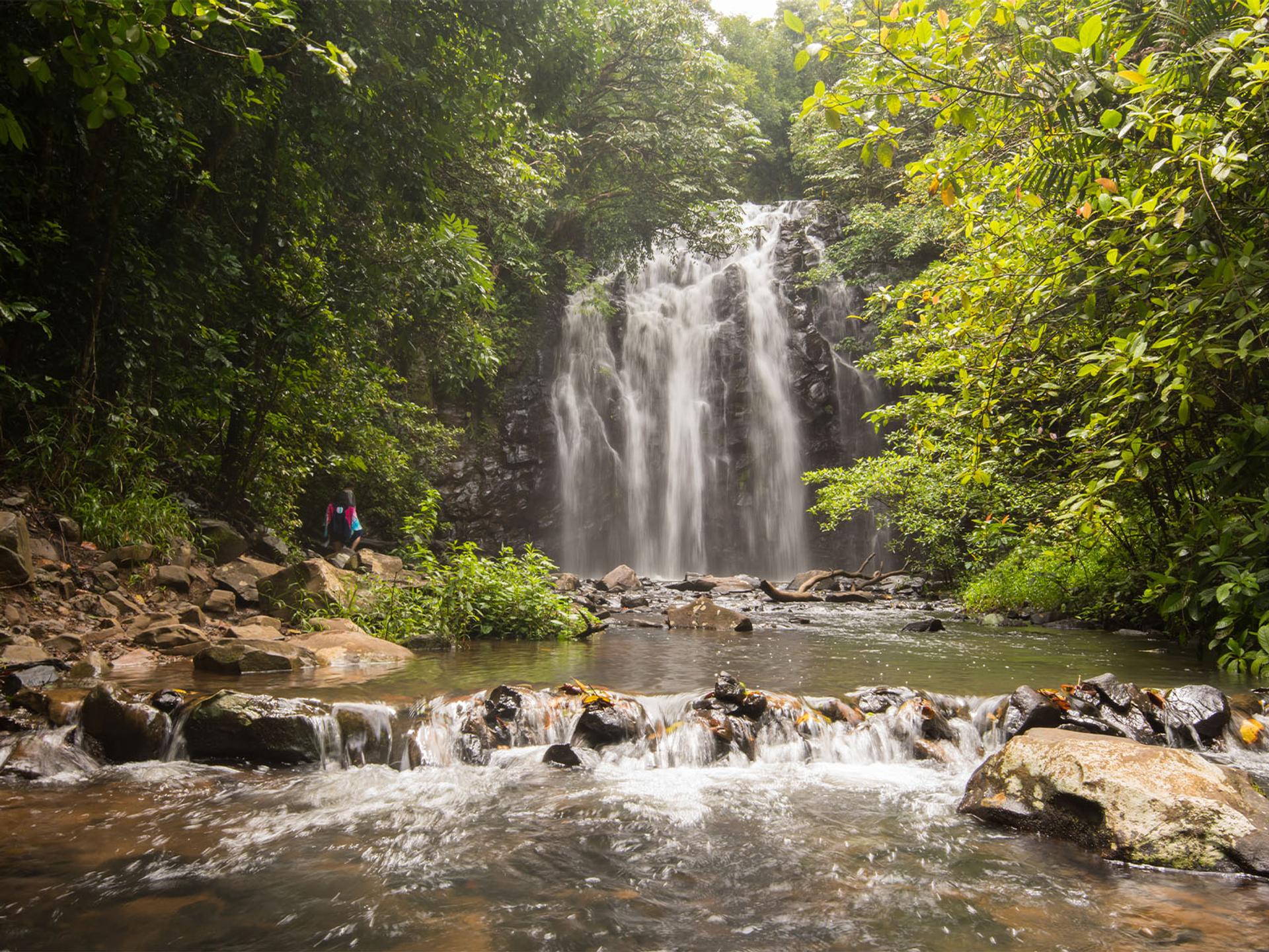 NRMA Atherton Tablelands Holiday Park - 4