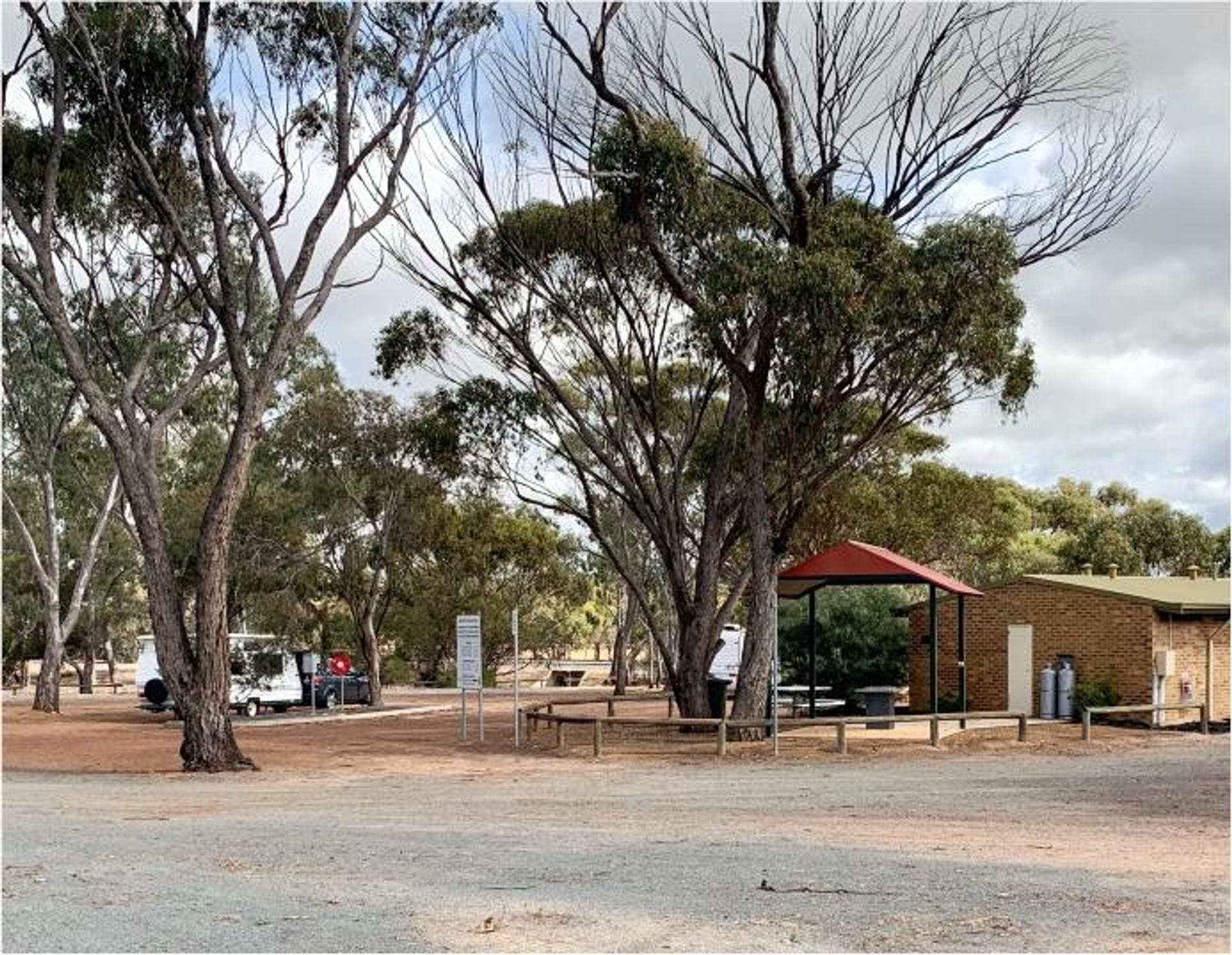 Lake Yealering Caravan Park - 4