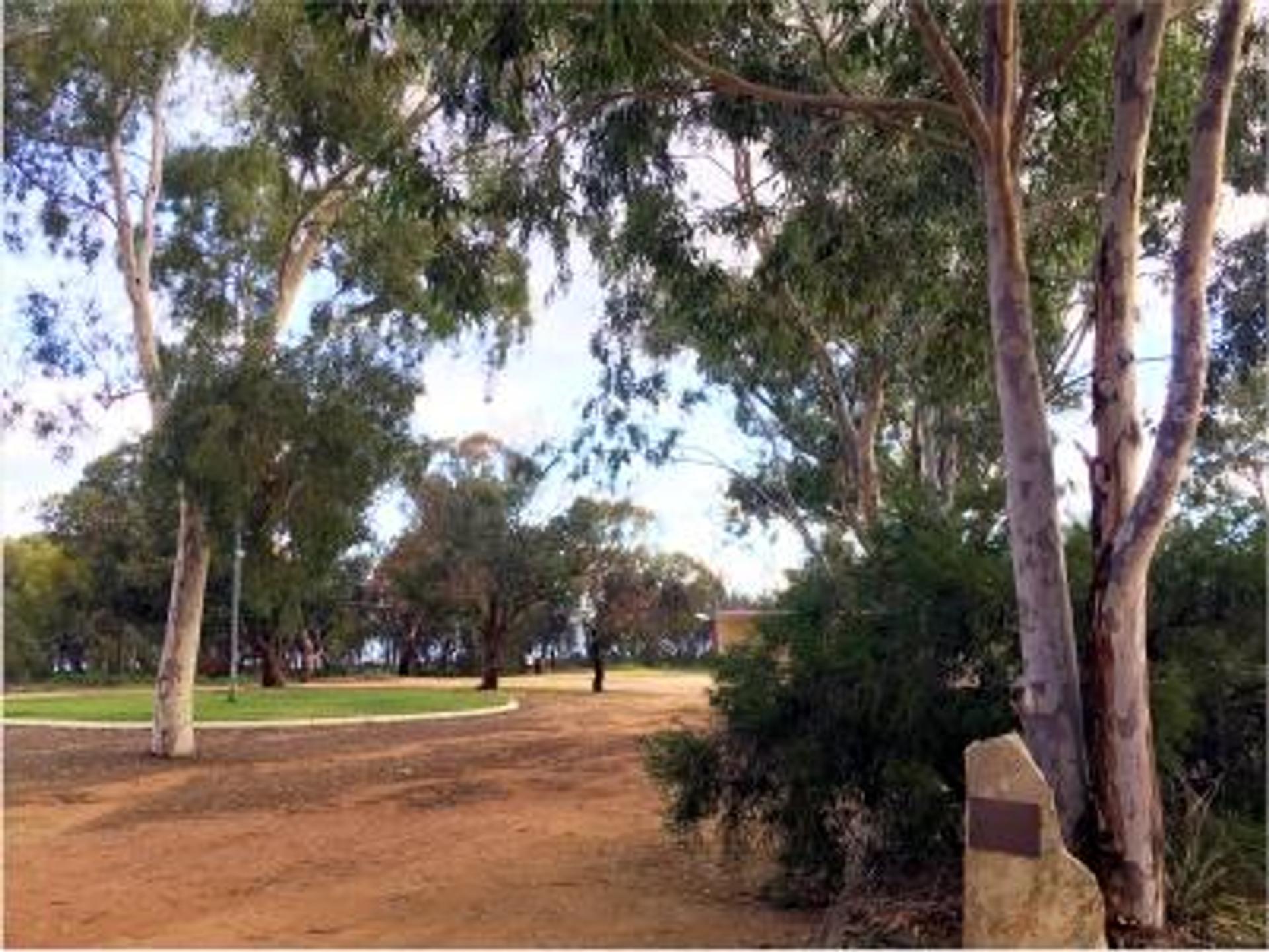 Lake Yealering Caravan Park - 3