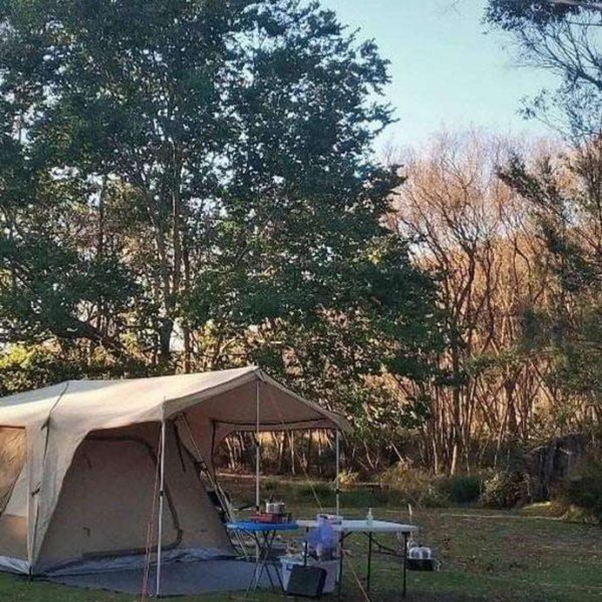 Zeehan Bush Camp- Glamping and Cabins - 4