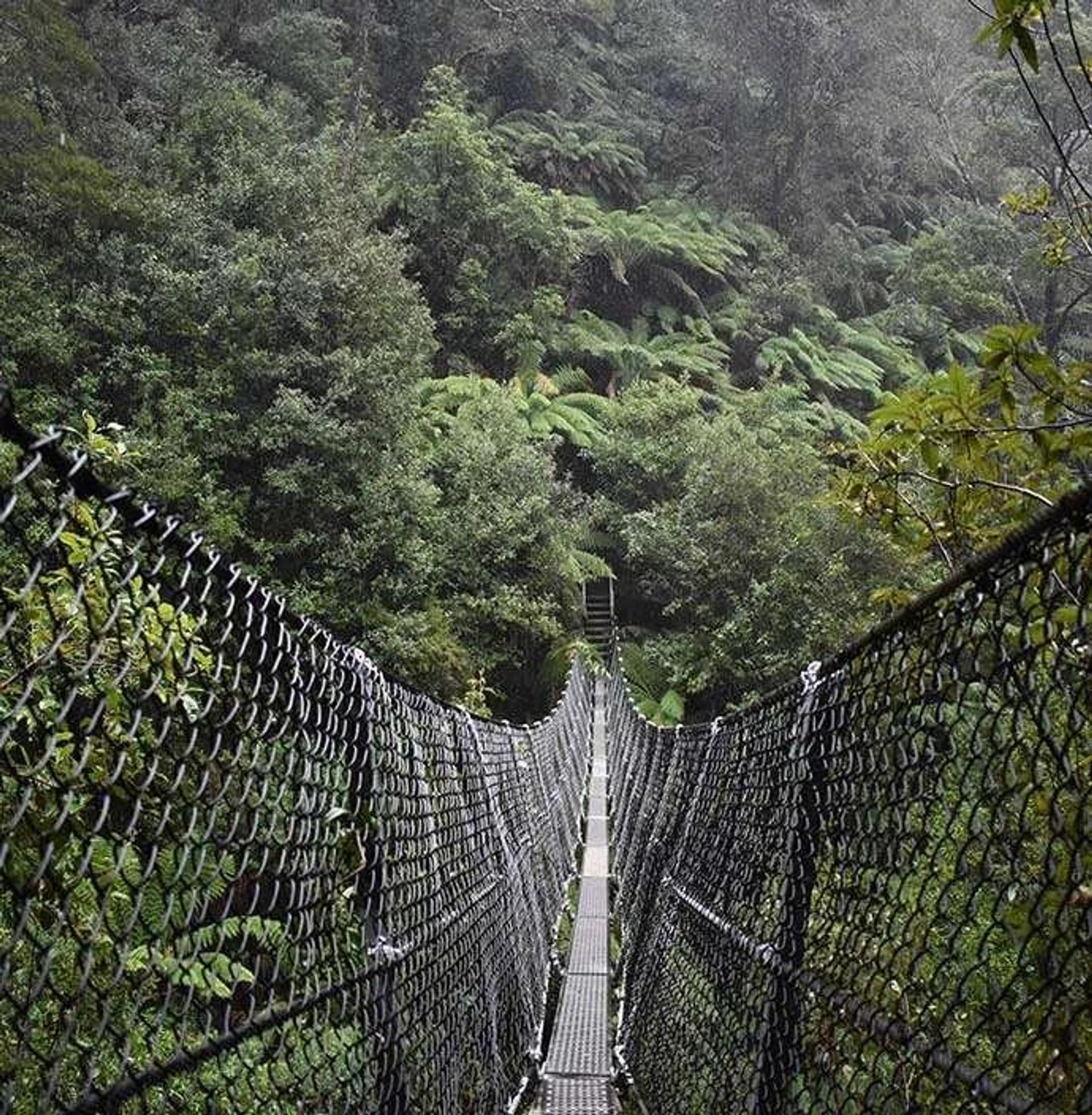 Zeehan Bush Camp- Glamping and Cabins - 2